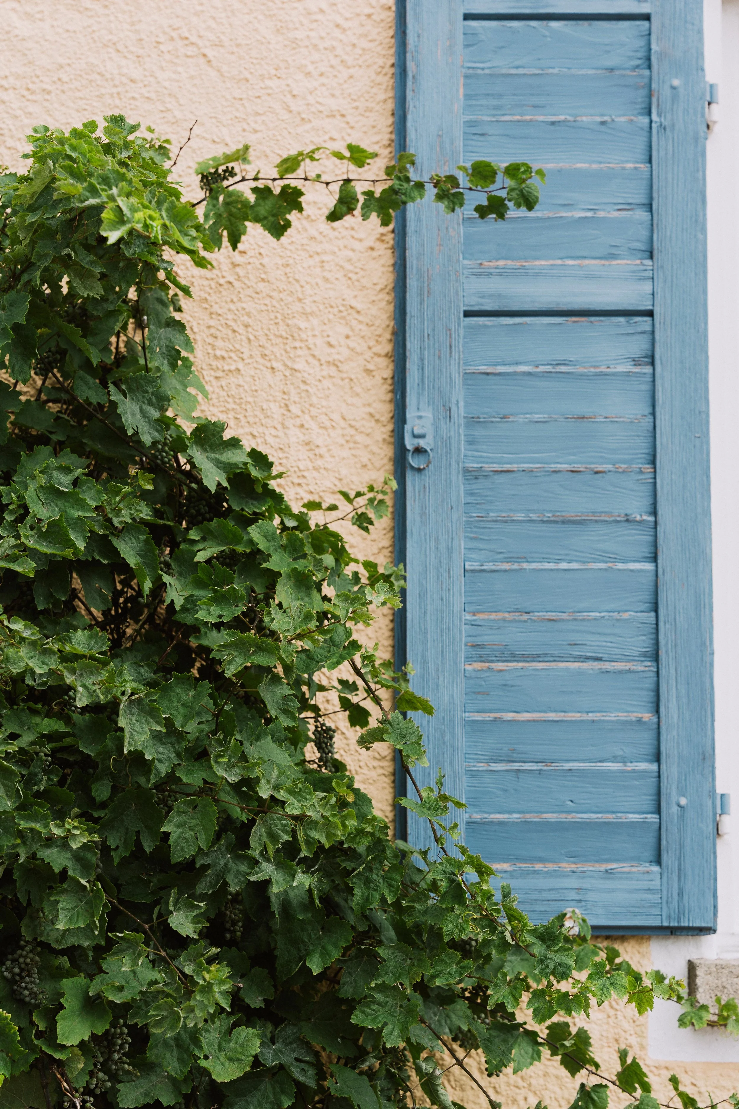 55 - laura_schmatz-08902.jpg