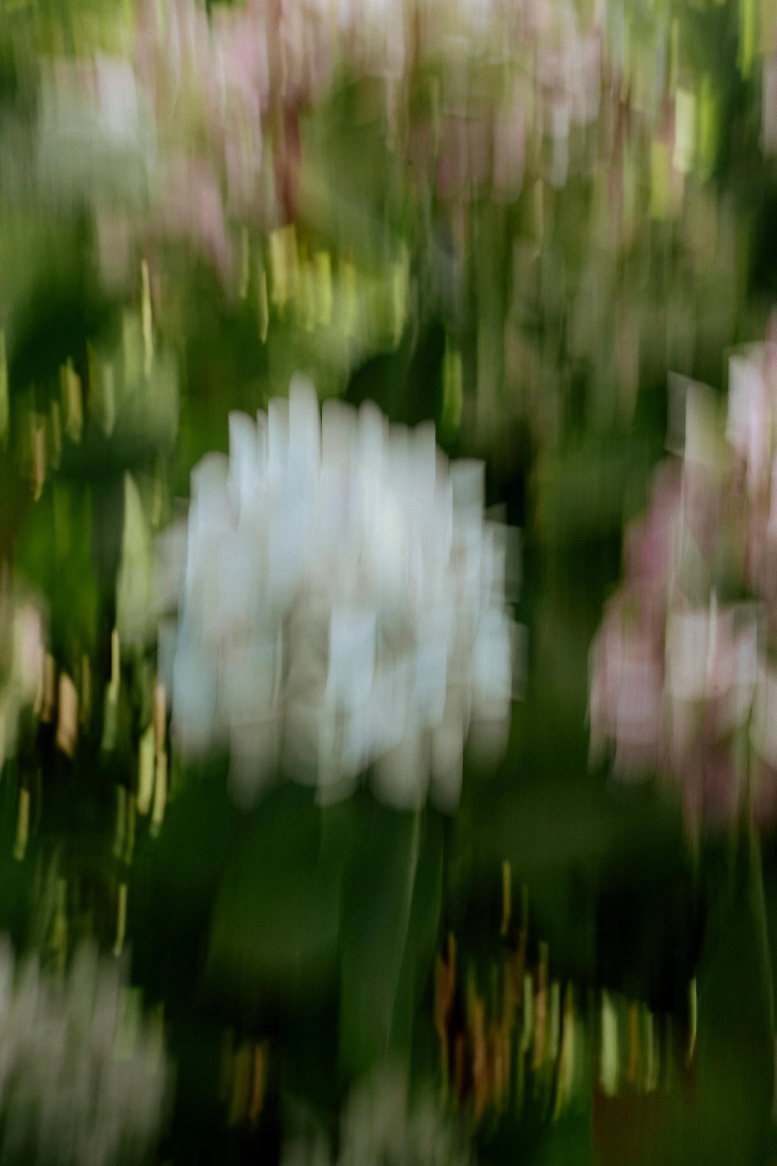 79 - laura_schmatz_n+f_coffeecake-08696.jpg