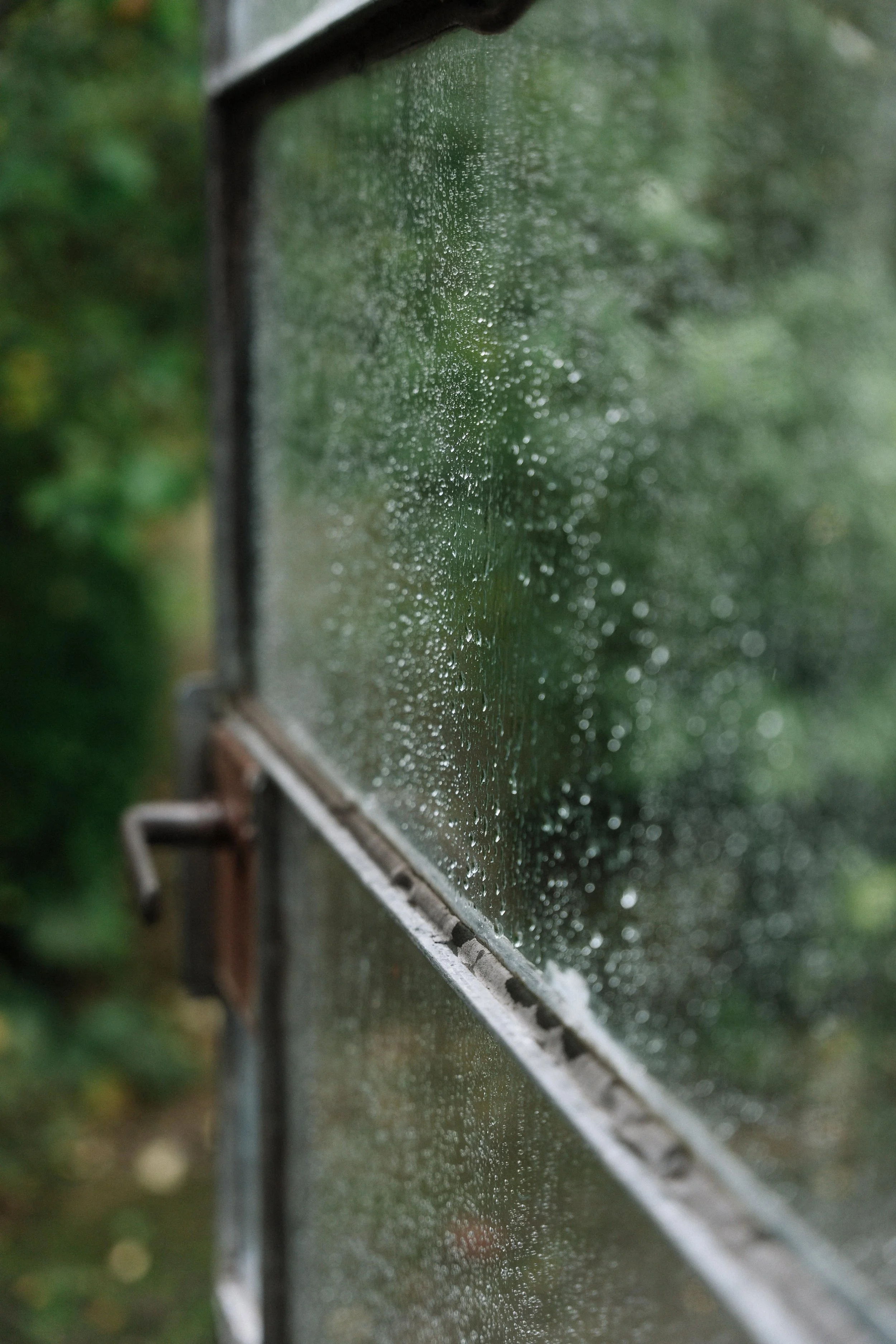 61 - laura_schmatz_die_alte_gärtnerei-00512.jpg