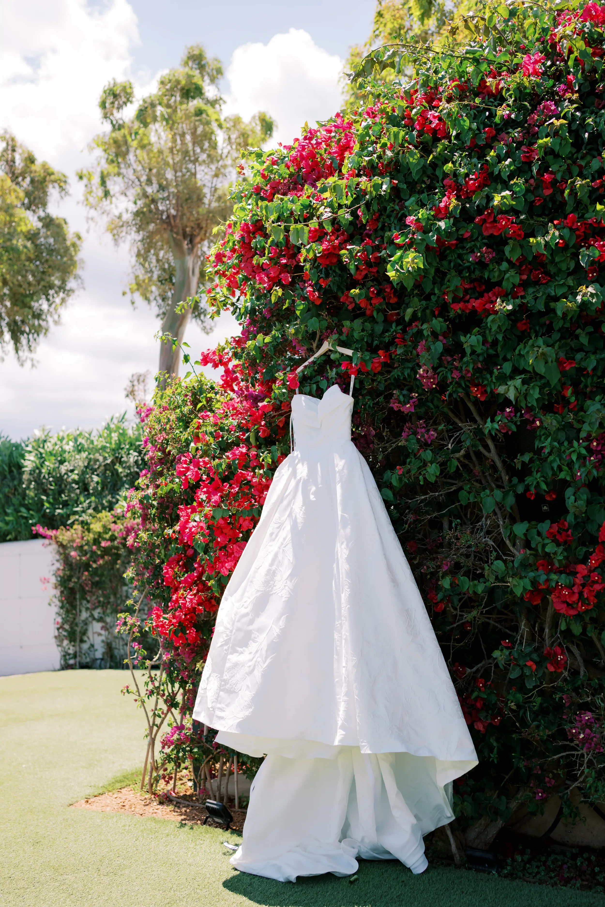 wedding-dress-bathed-in-sunlight.webp