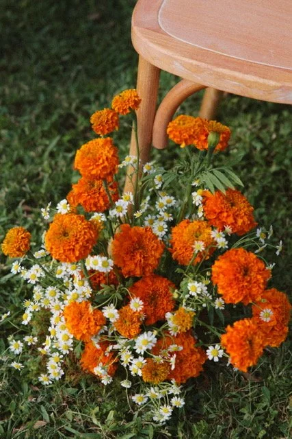 Kwak Wedding 3.JPG