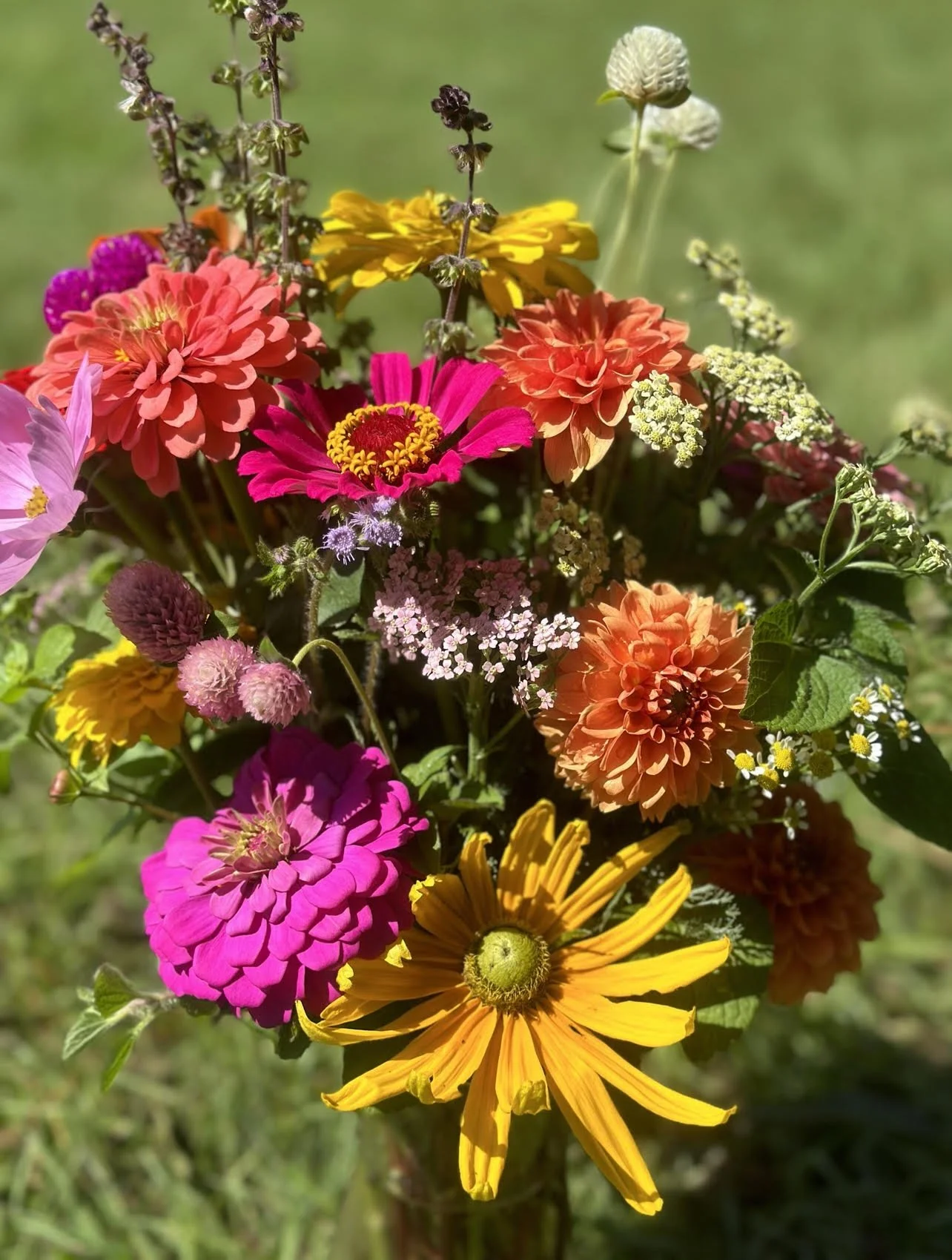 Office Desk Special 2023 (Medium)