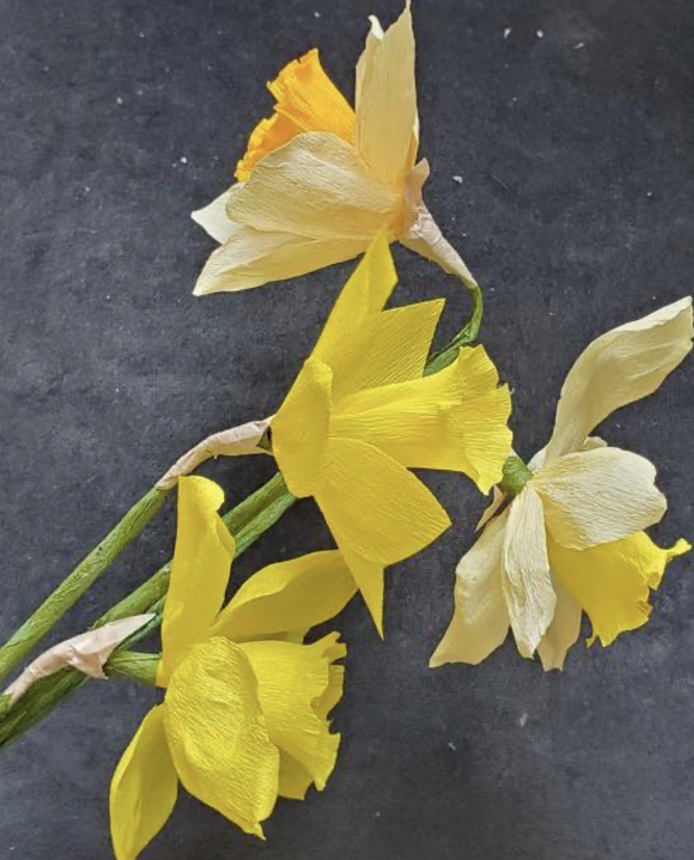 Screenshot 2026-01-14 at 3.50.50 PM.png