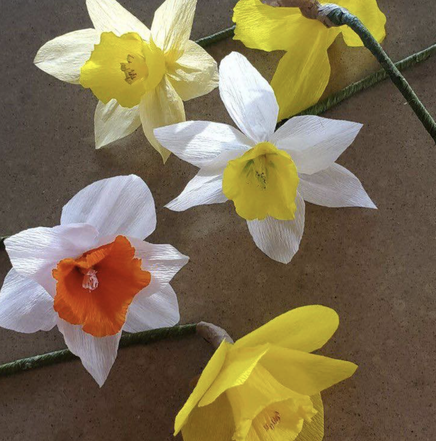 Screenshot 2026-01-14 at 3.50.35 PM.png