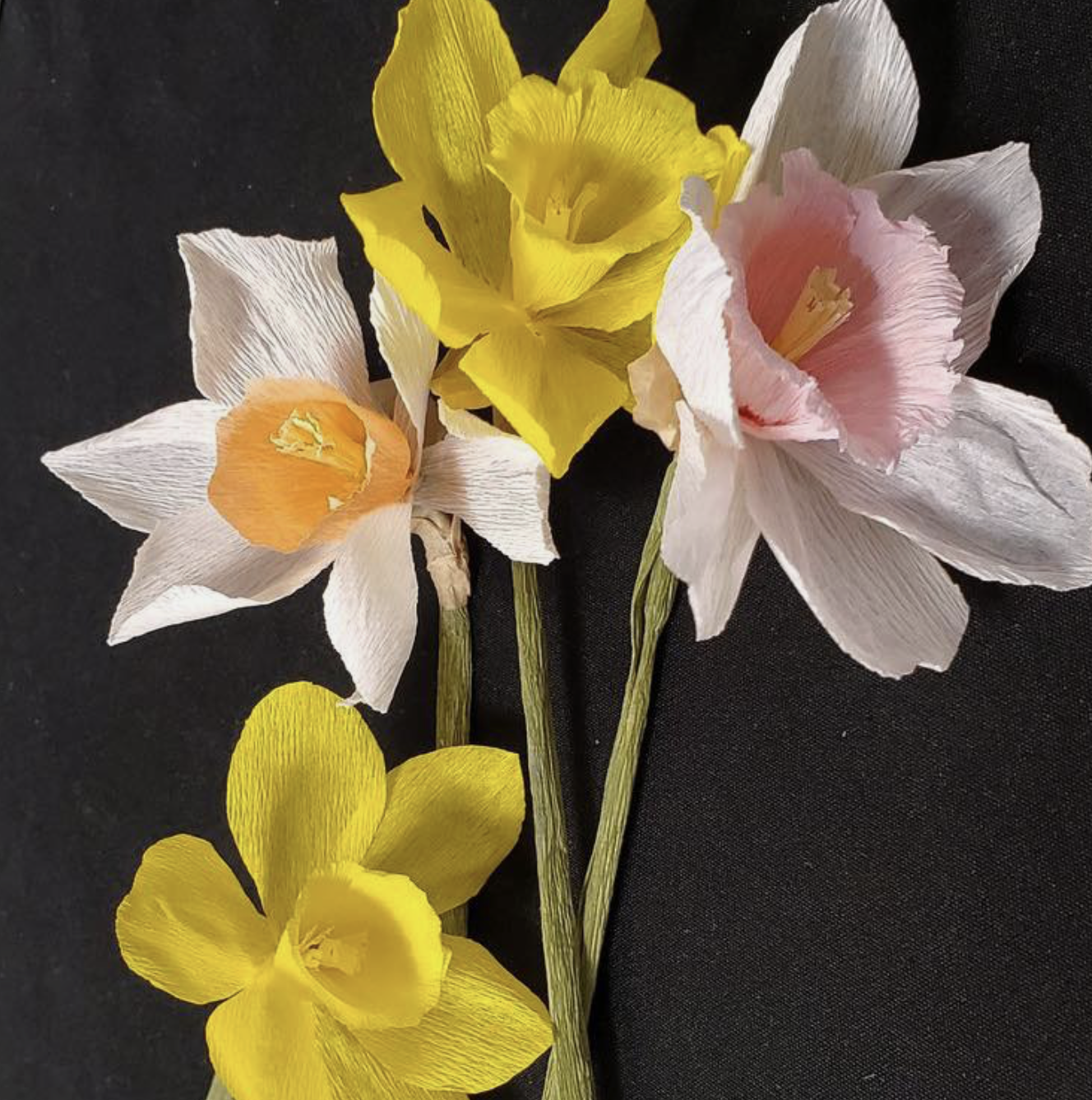 Screenshot 2026-01-14 at 3.51.11 PM.png