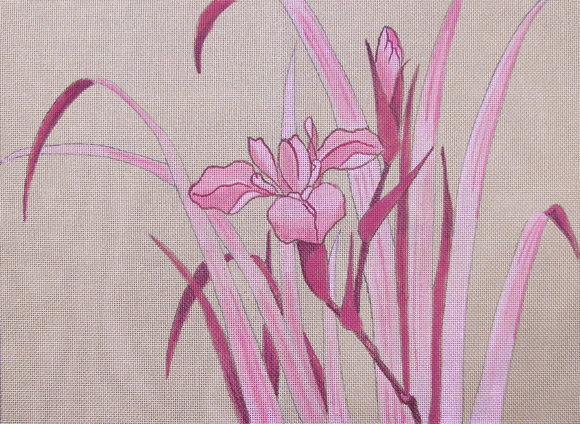 Iris Japonica Pink (35x45cm)