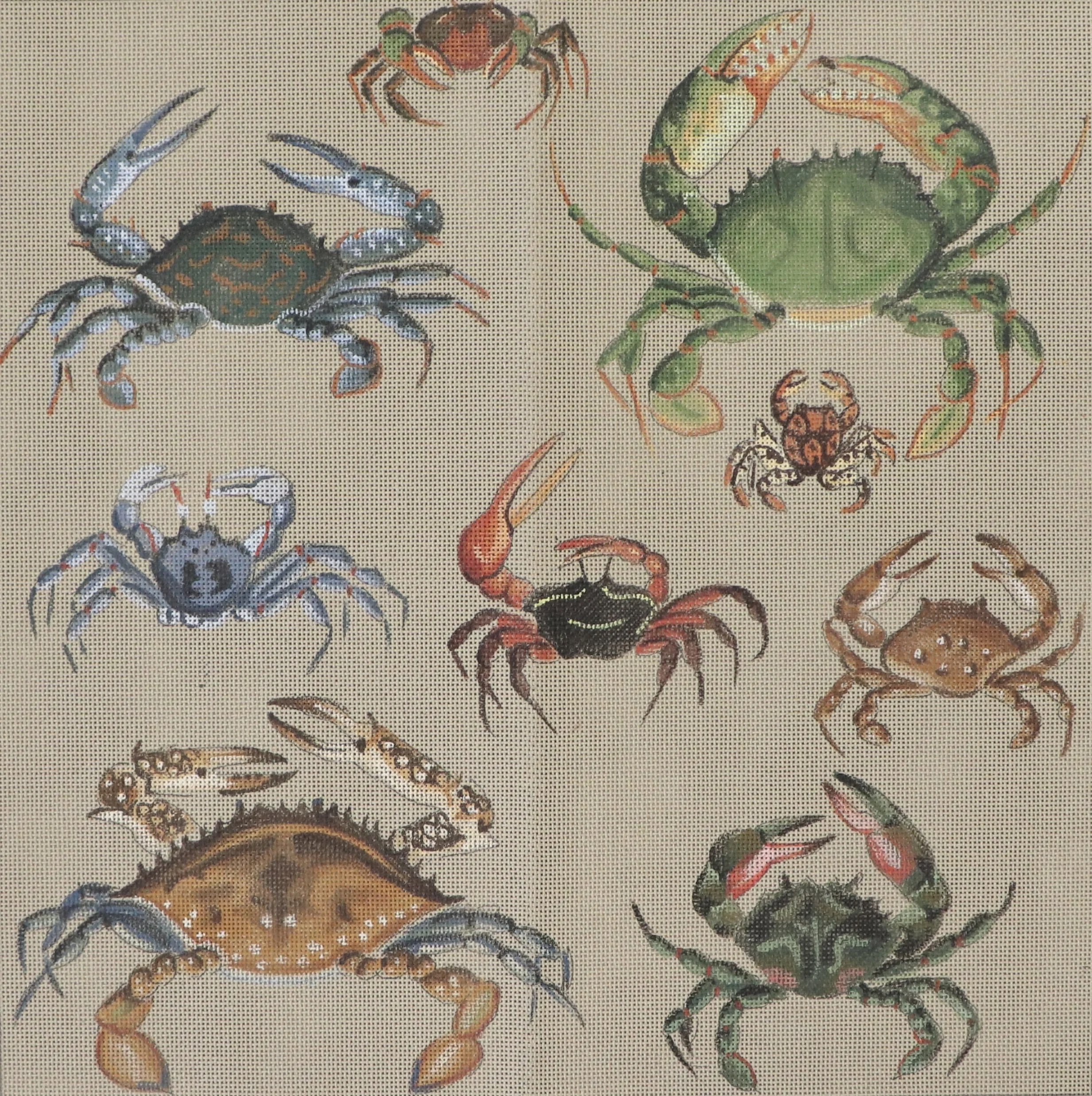 Chesapeake Beauties (40x40cm)