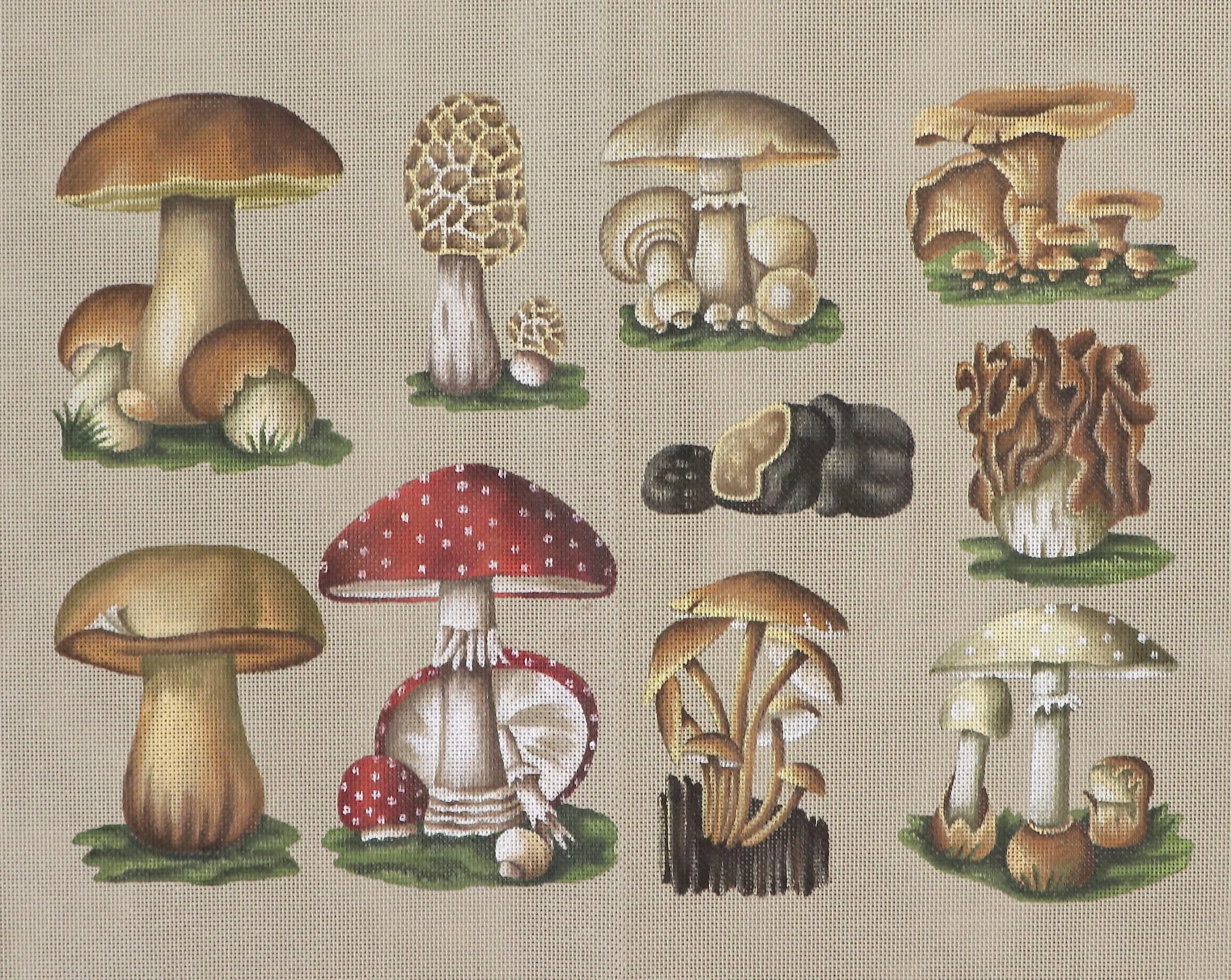 Les Bolets (40x50cm)