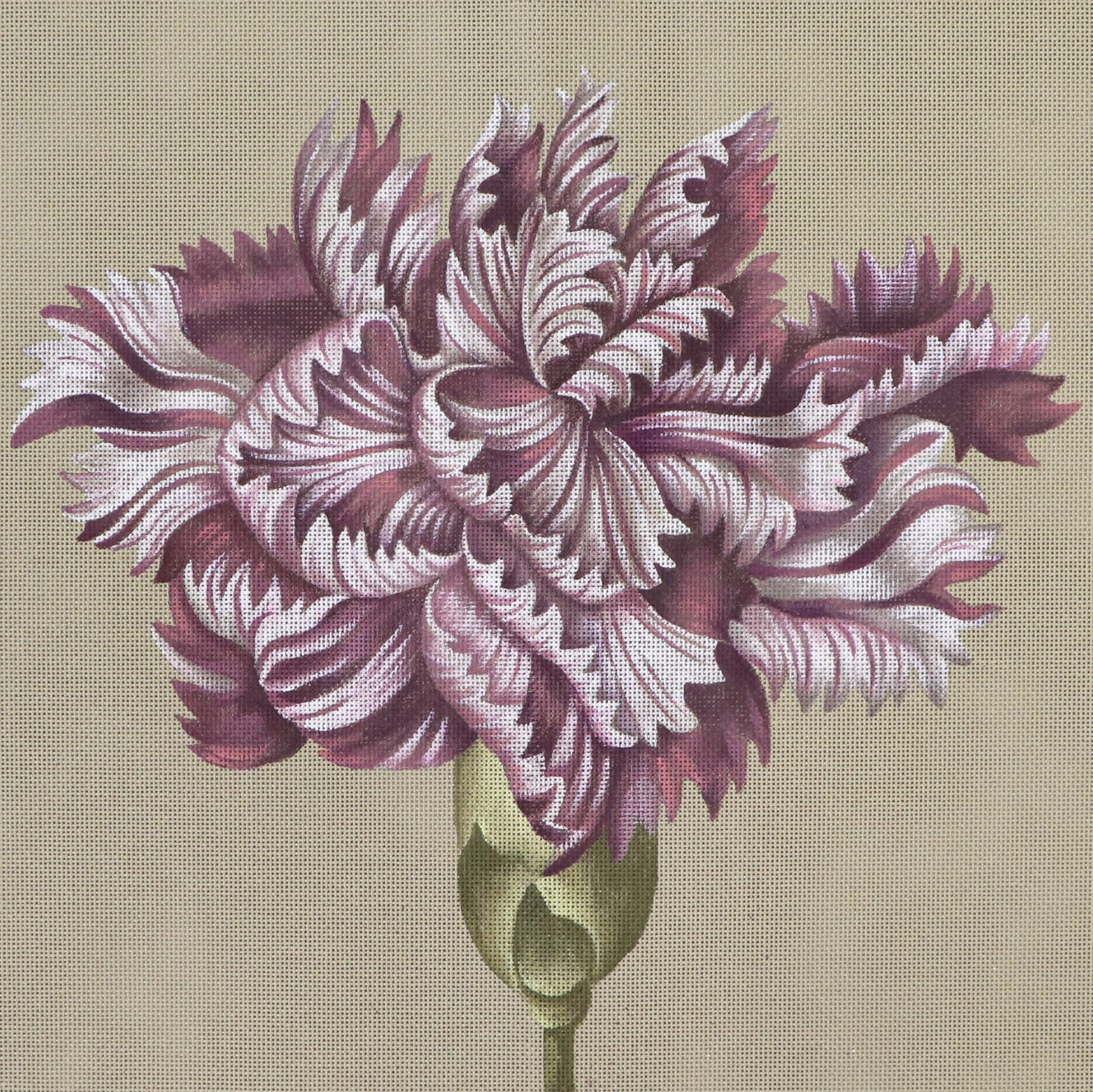 Summer Carnation (40x40cm)