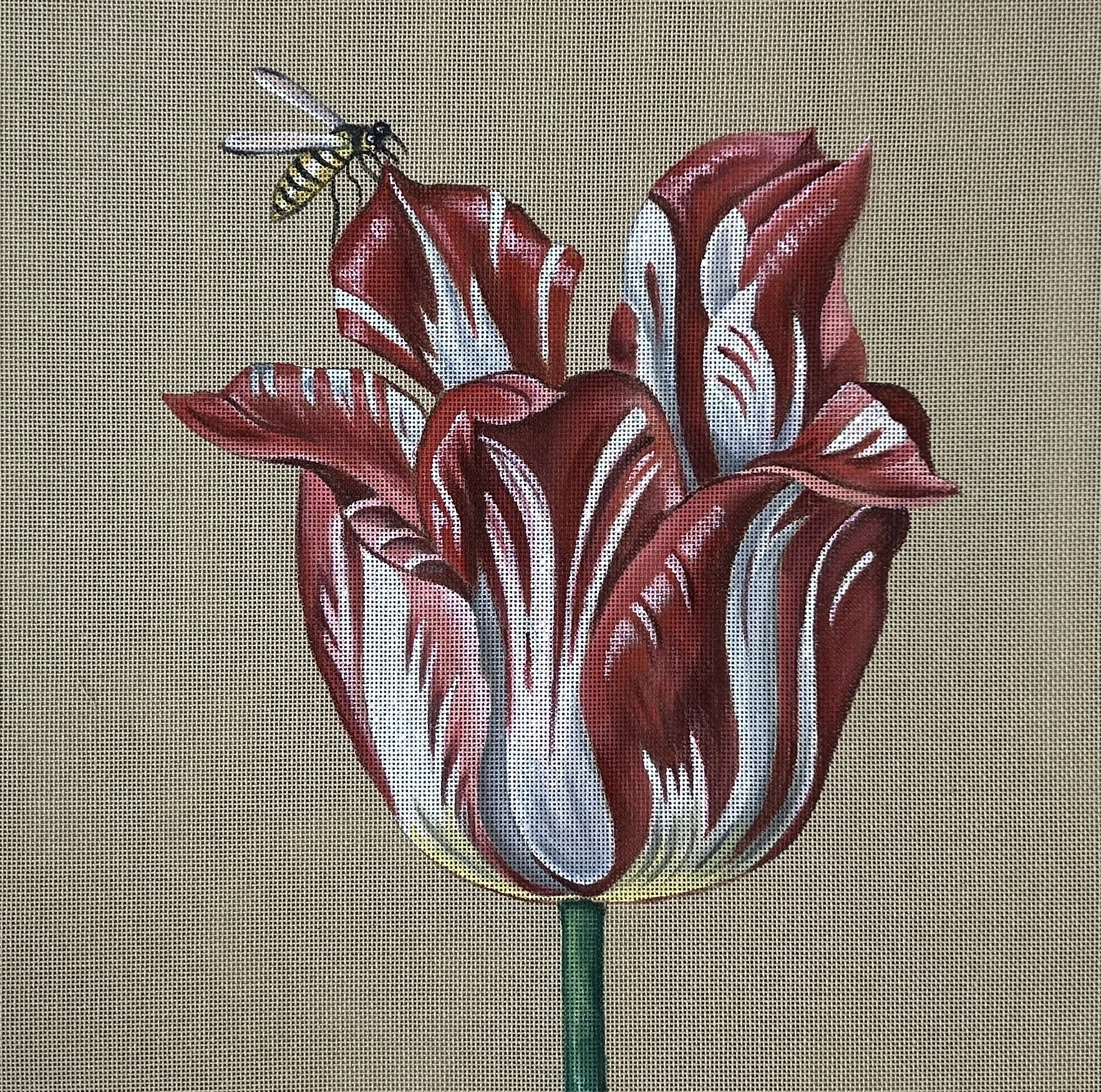 Tulip Haarlem(35x35cm)