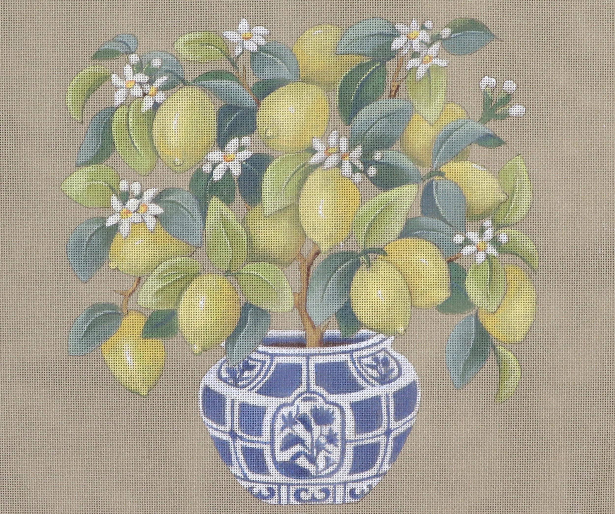 Citronnier (45x45cm)