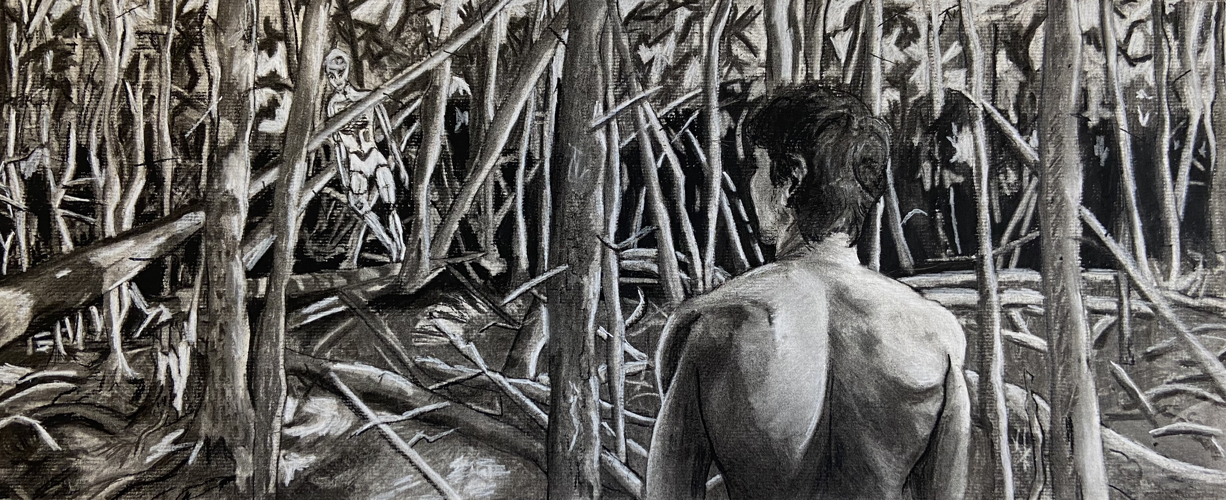 Encounter/
Charcoal on paper/
9.25" x 22"/
Spring 2021