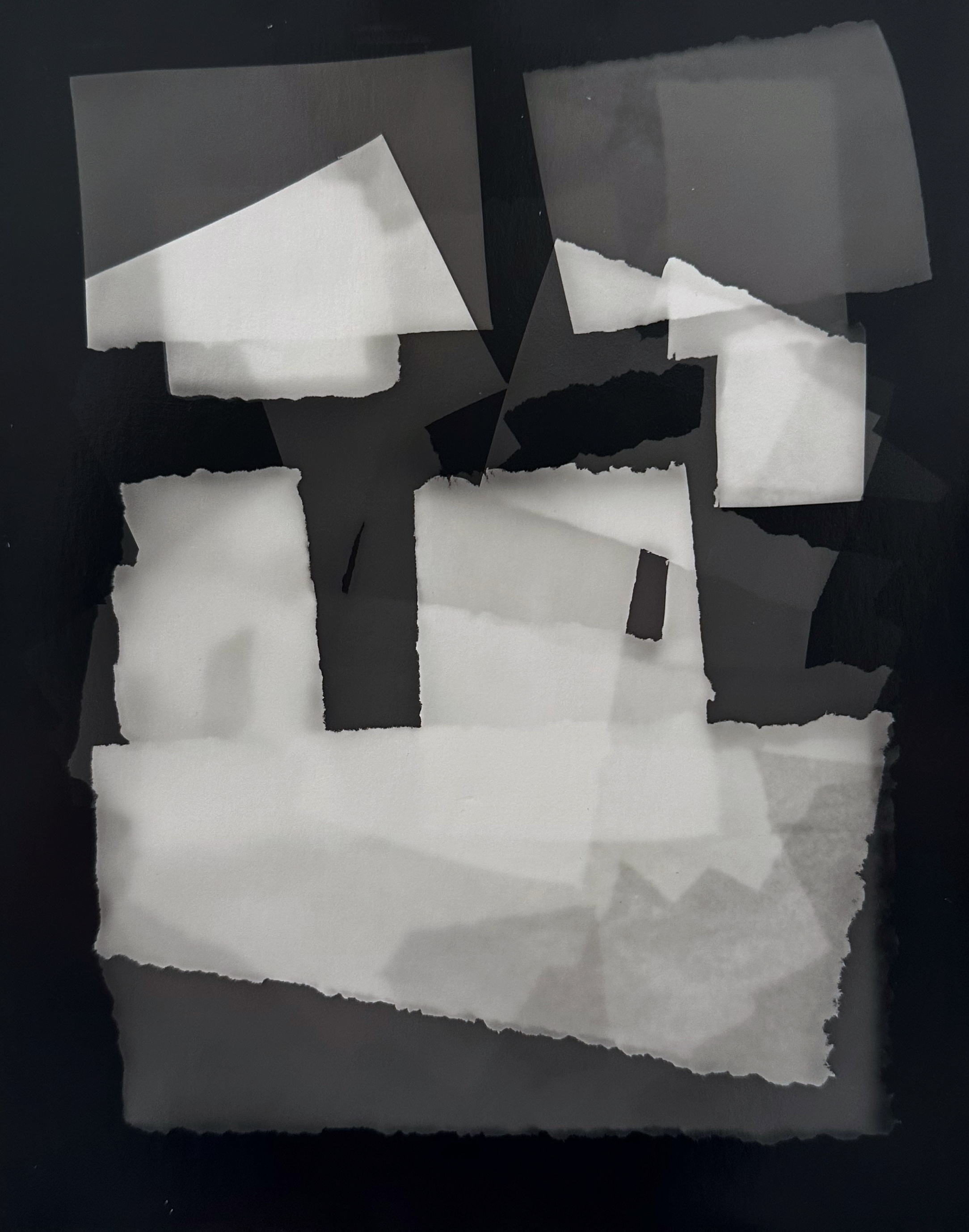 photogram 3.png