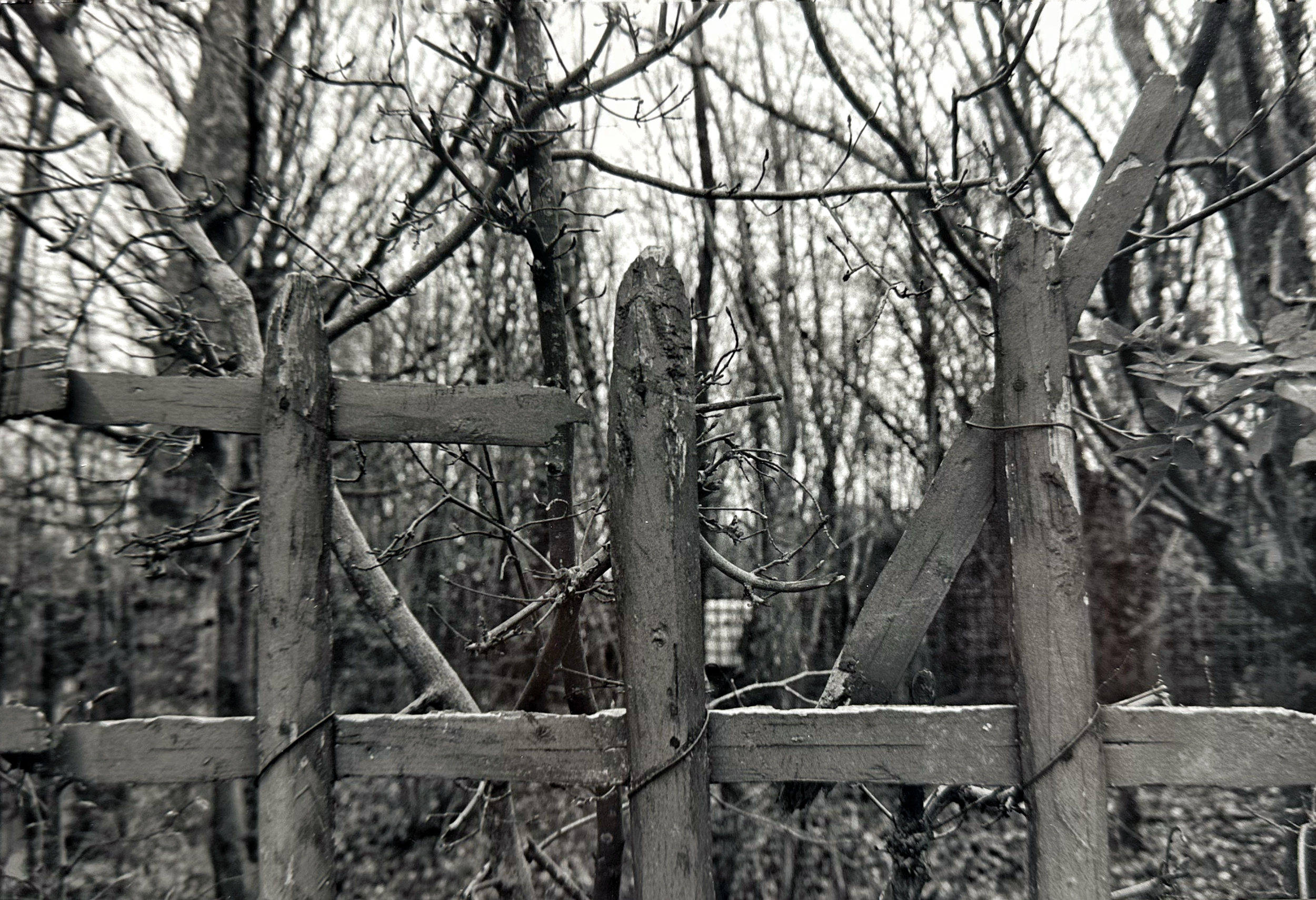 versailles garden fence grid.png