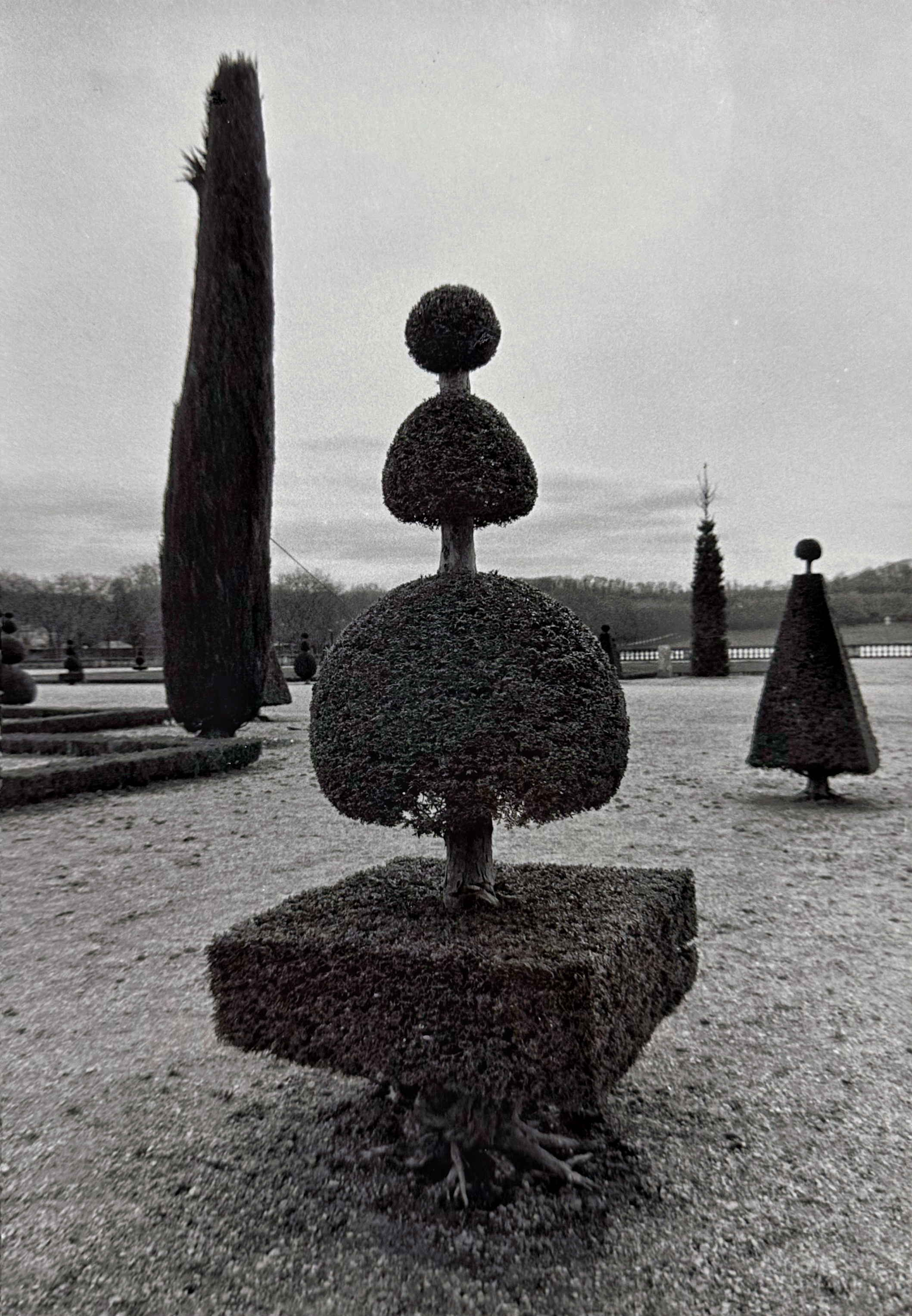 paris park vertical topiary.png