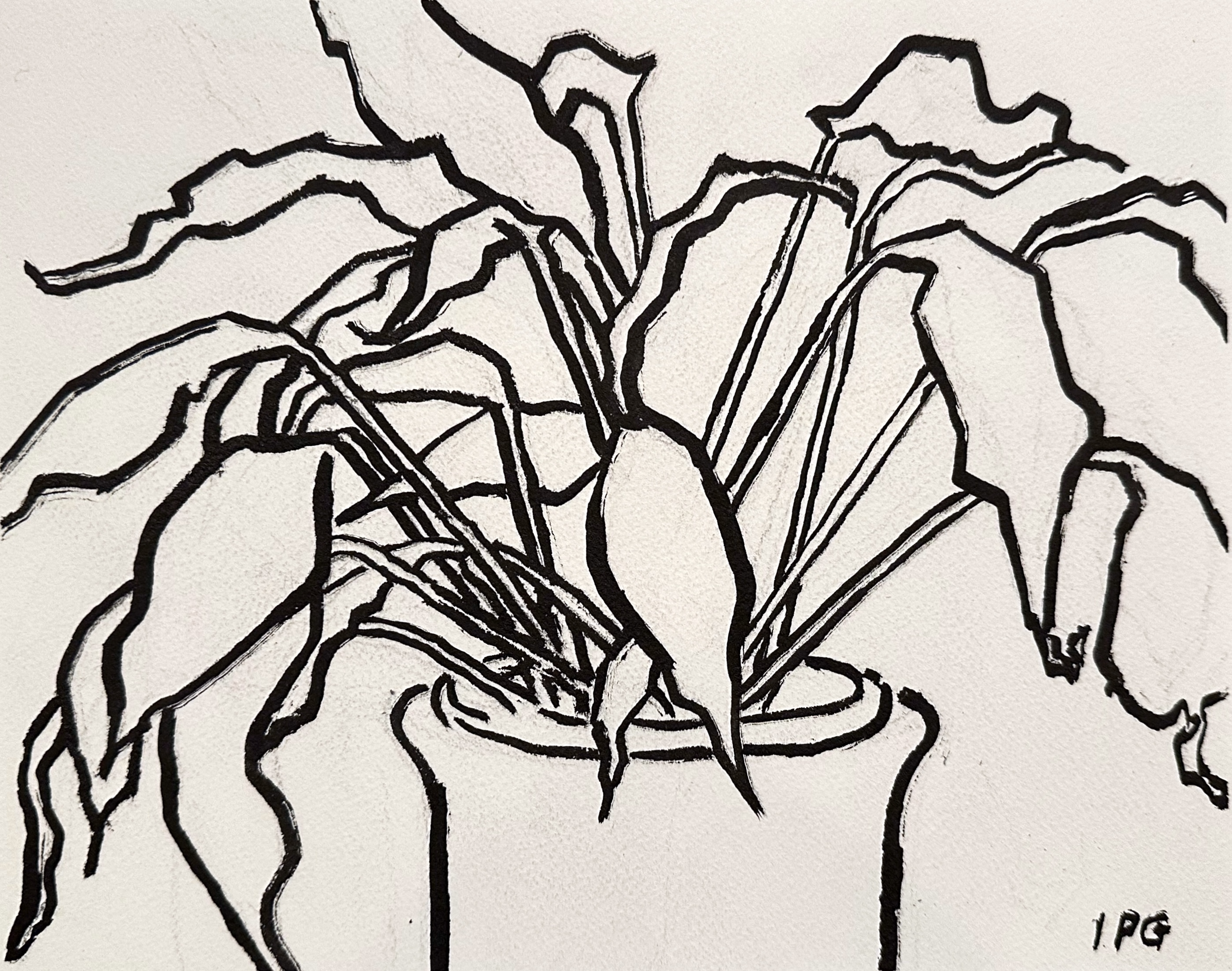 ink pneumonia plant 2024.png