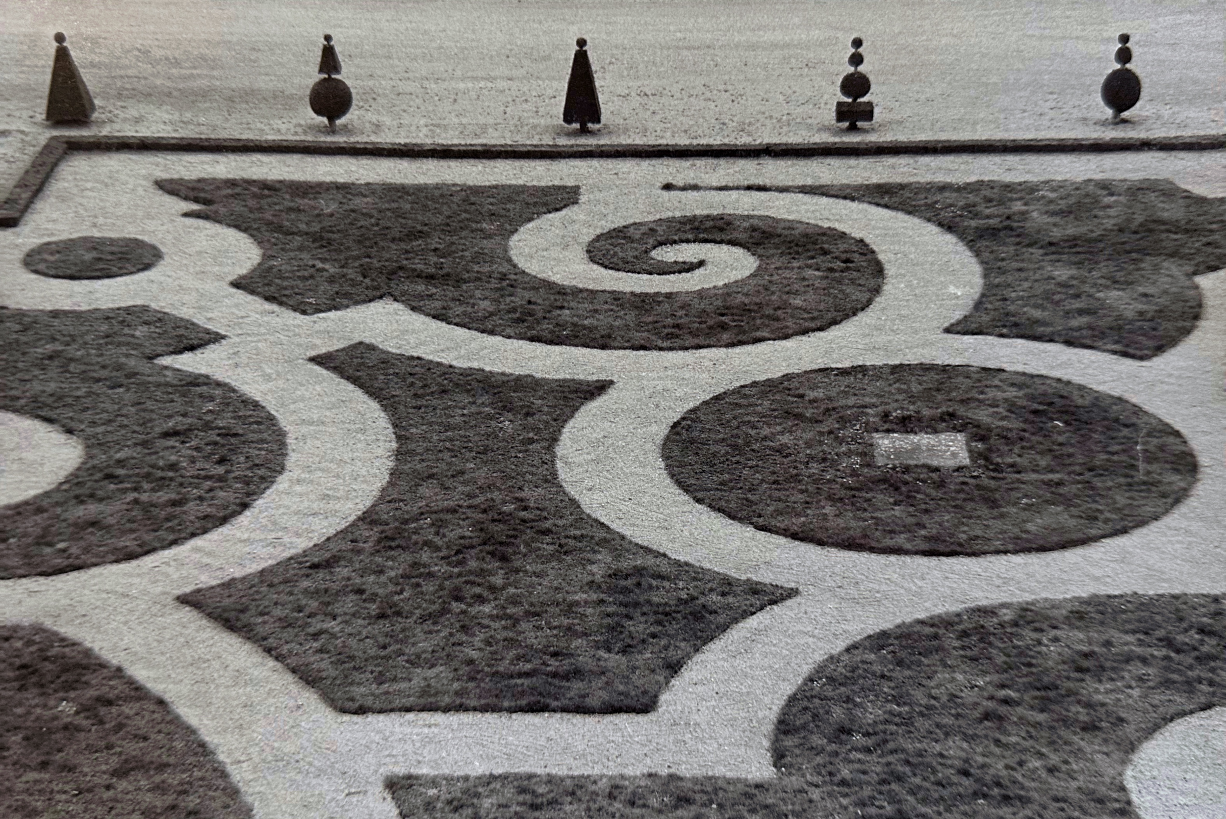 versailles swirly grass.png