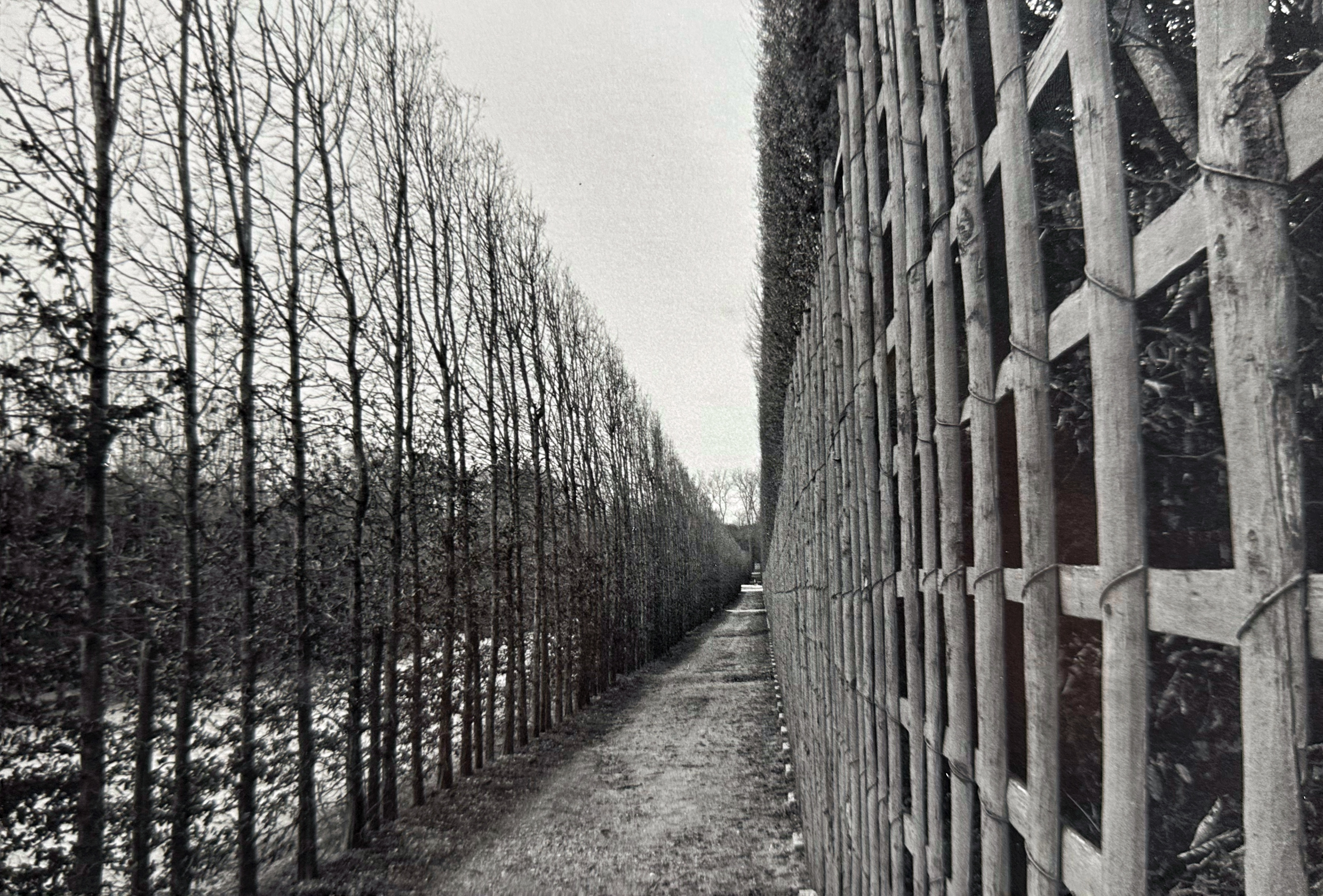 versailles garden fence.png
