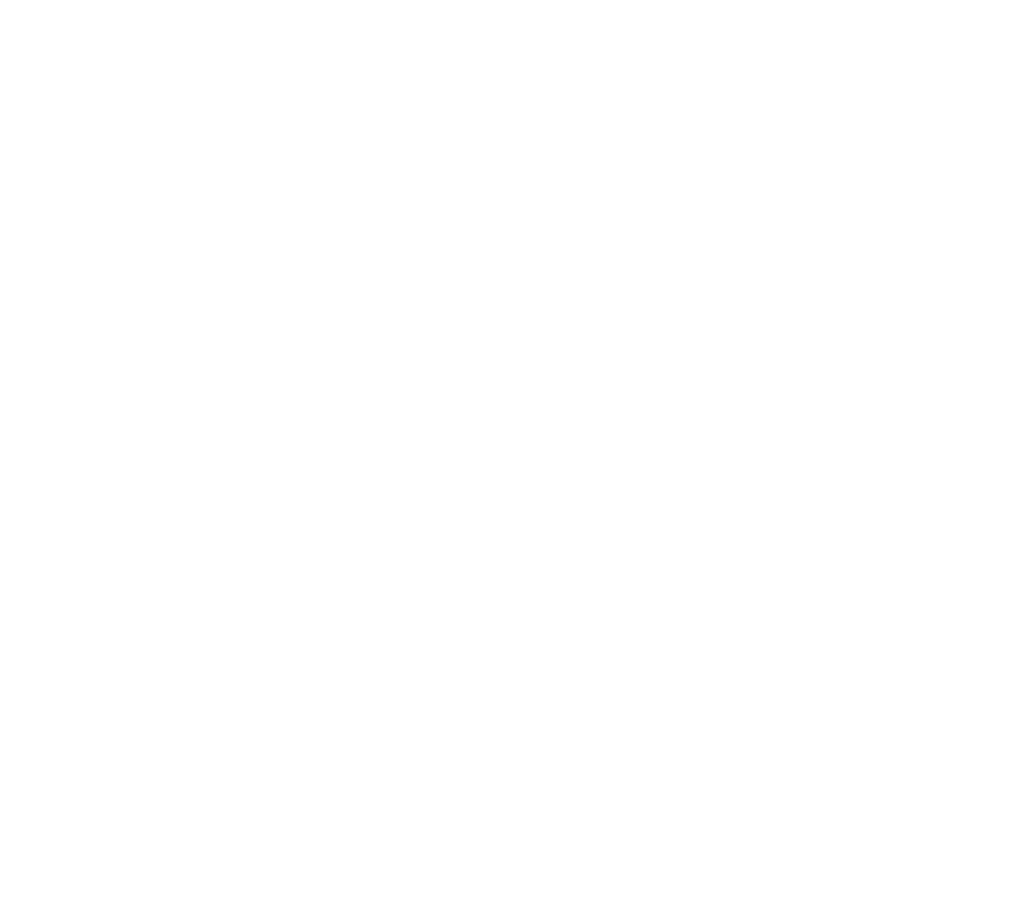 Dj Sunny P Event Expierence