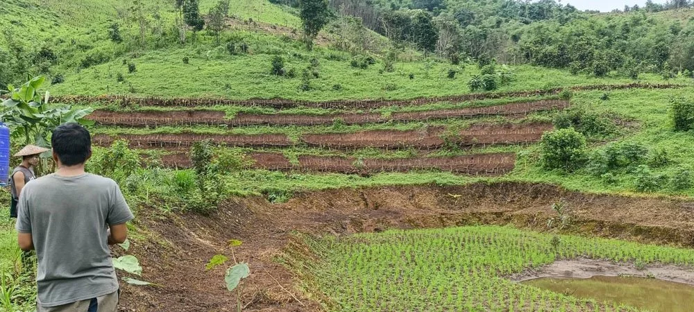 Grow corn.jpg
