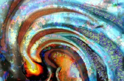 Hypnotherapy Holistic Seed