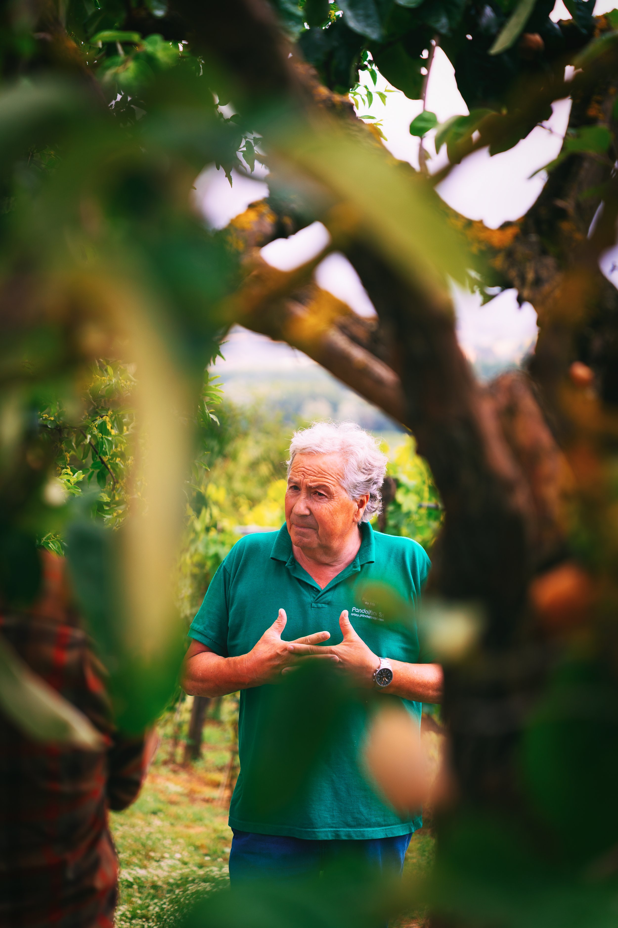 Man standing among trees, wearing a green polo shirt, gesturing with hands, with blurred foliage in the foreground.