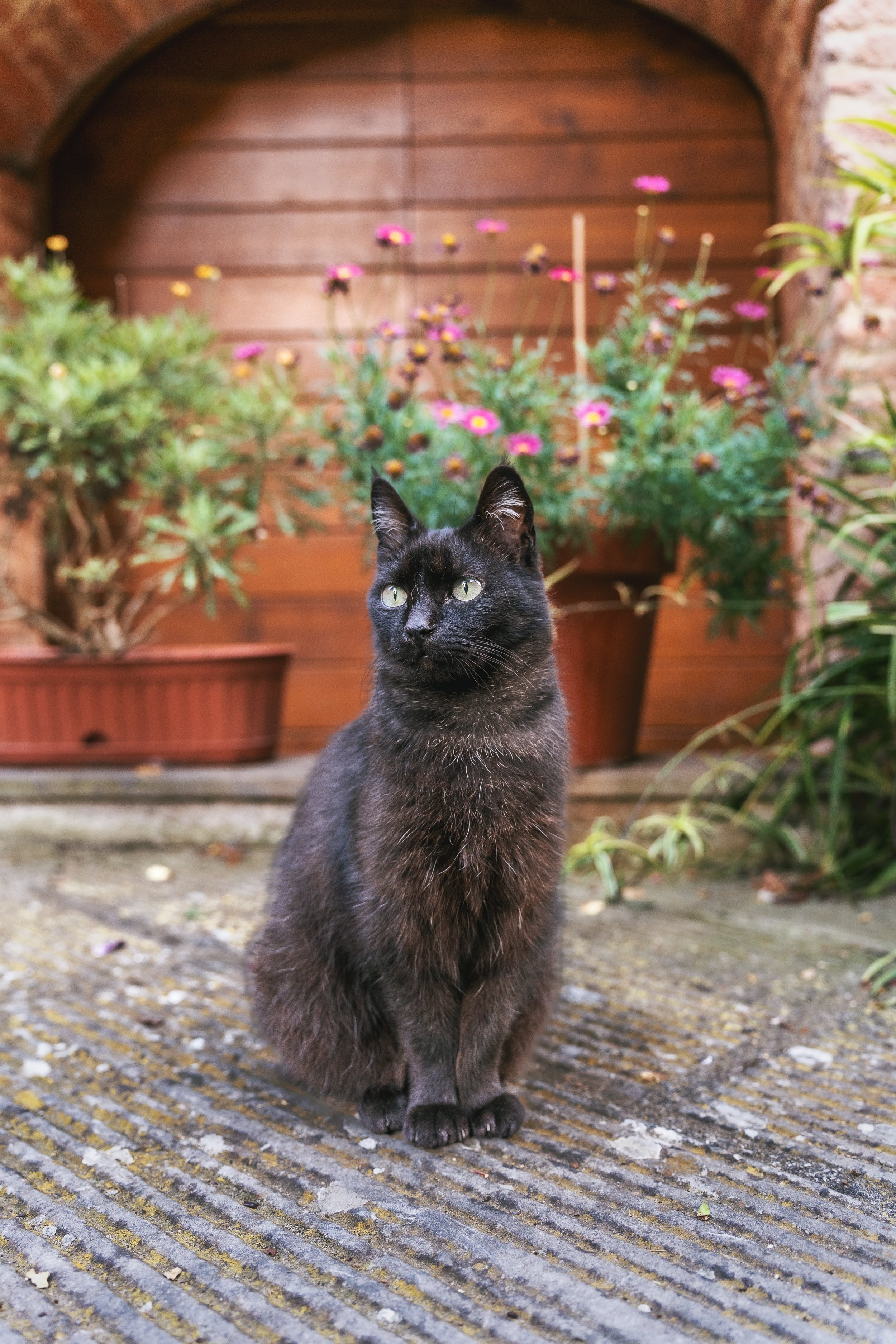 DSC06468-Edit.jpg