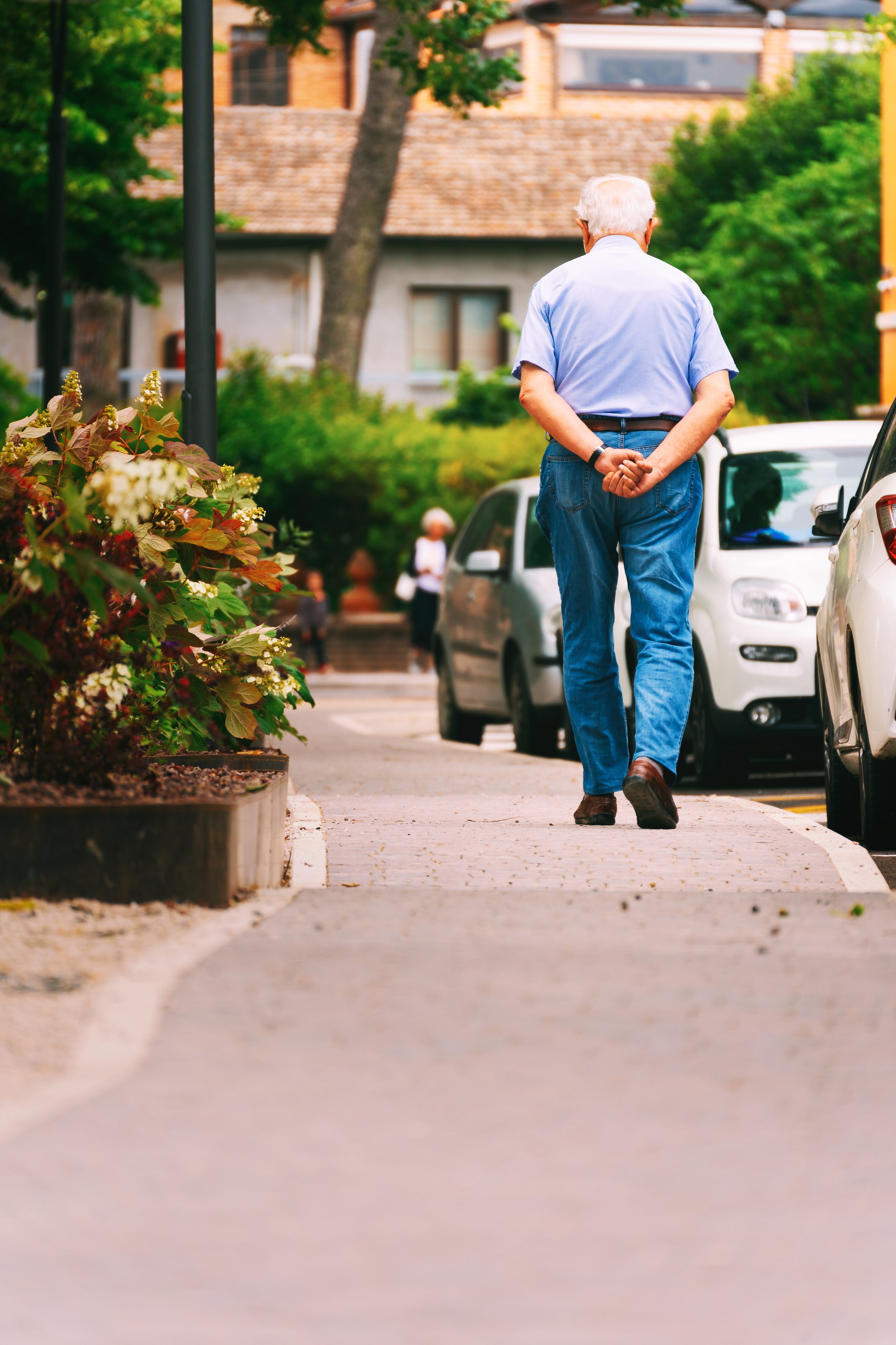 An elderly man walking on a sidewalk with hands clasped behind his back, surrounded by cars and greenery.