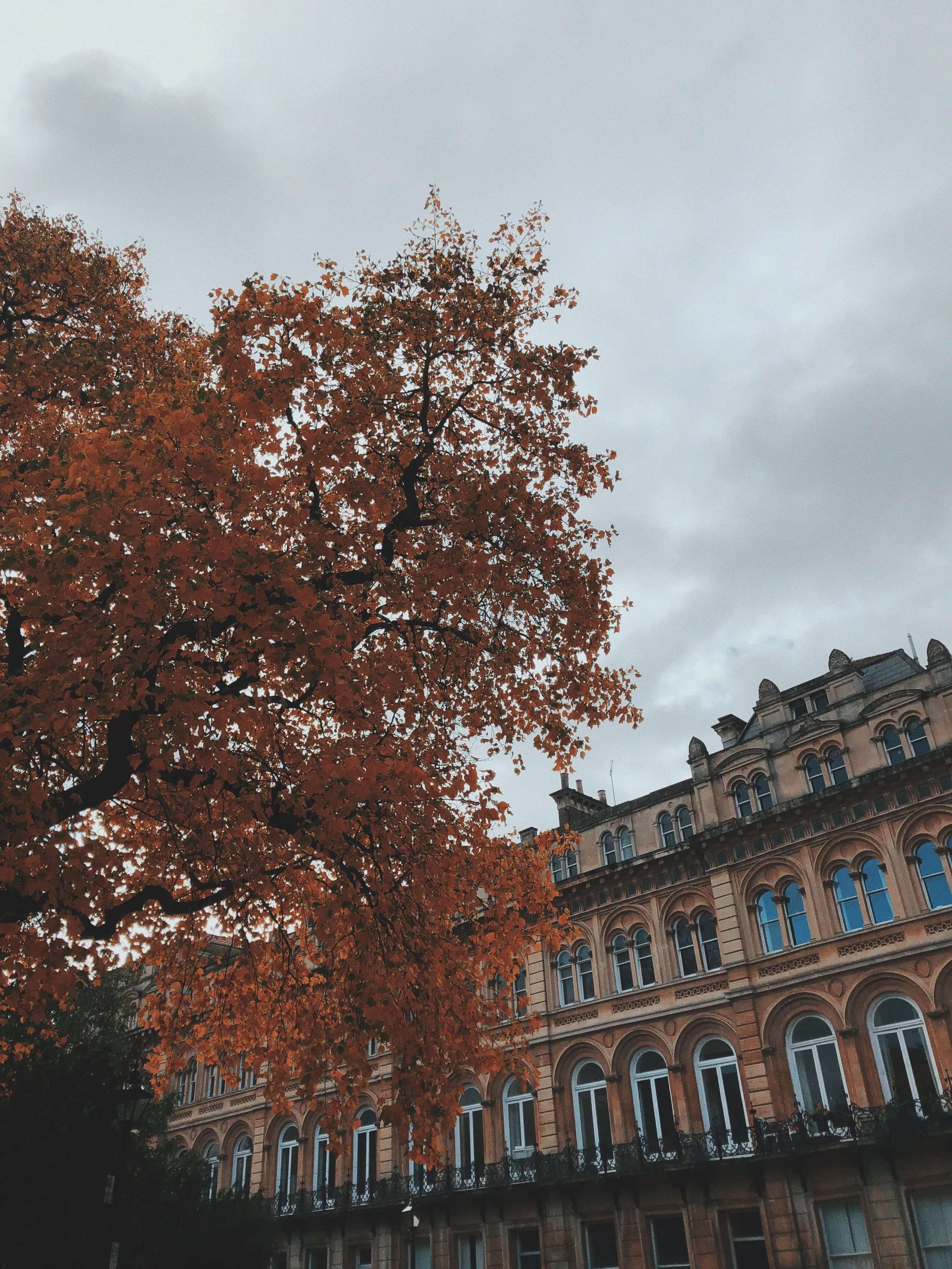 A large building with ornate architecture and numerous arched windows. A tree with orange autumn leaves partially covers the building, and the sky above is cloudy and gray.