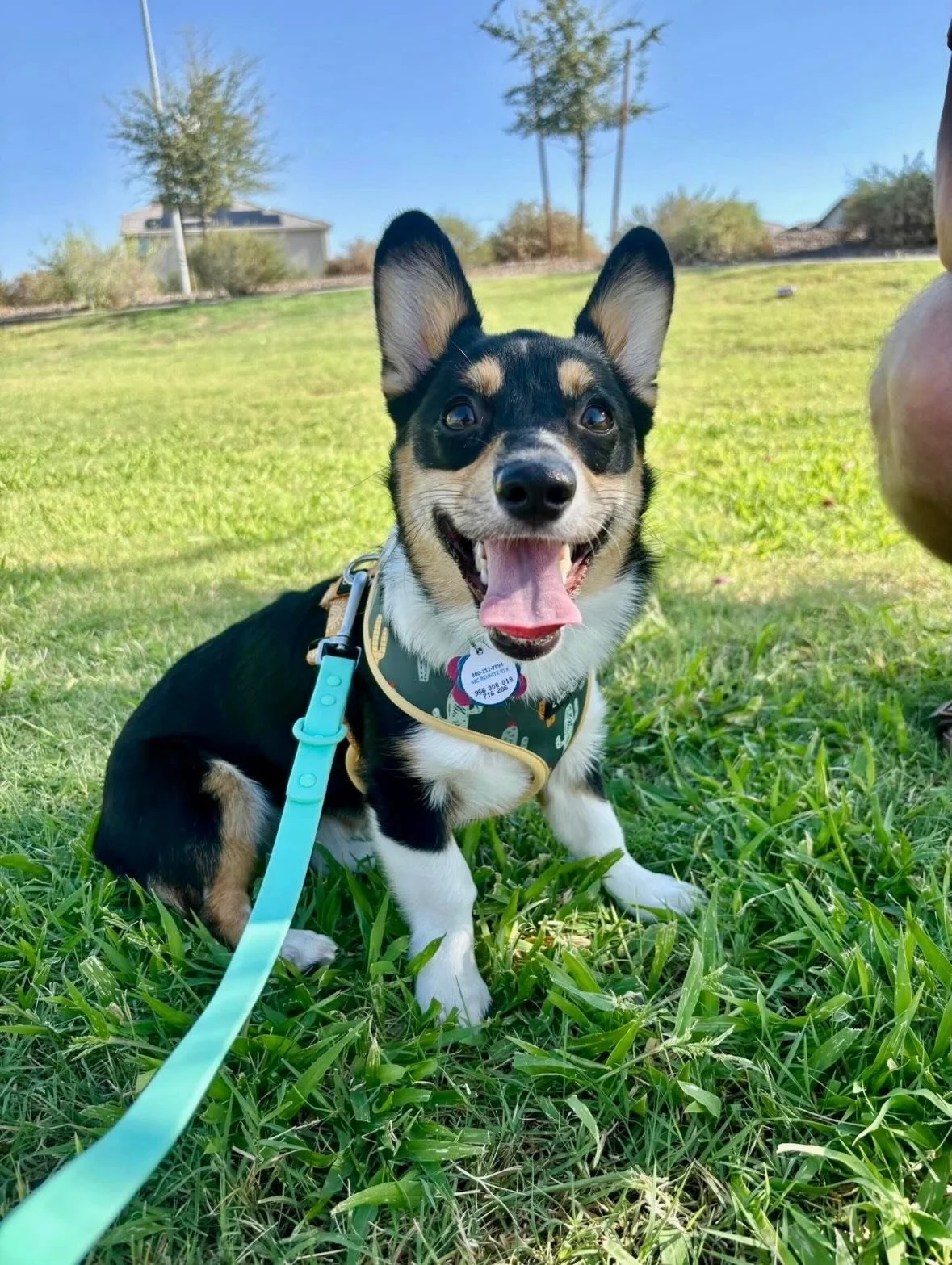The best roommates have 4 legs 🐾 

Good news &mdash; Nine20 is pet friendly! Bring your furry best friend along and make yourself at home 🏠