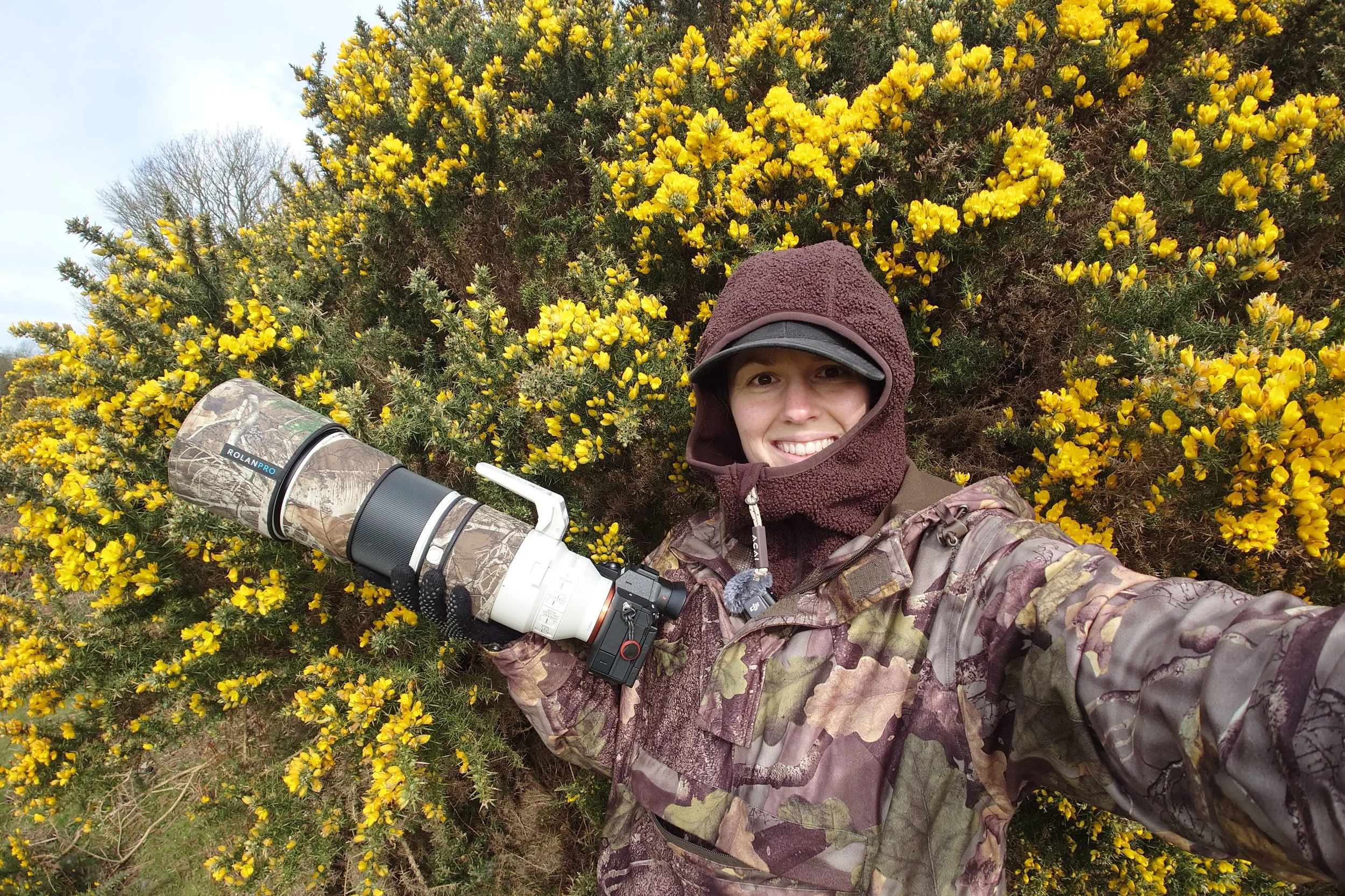 Operation: Gorse Bush