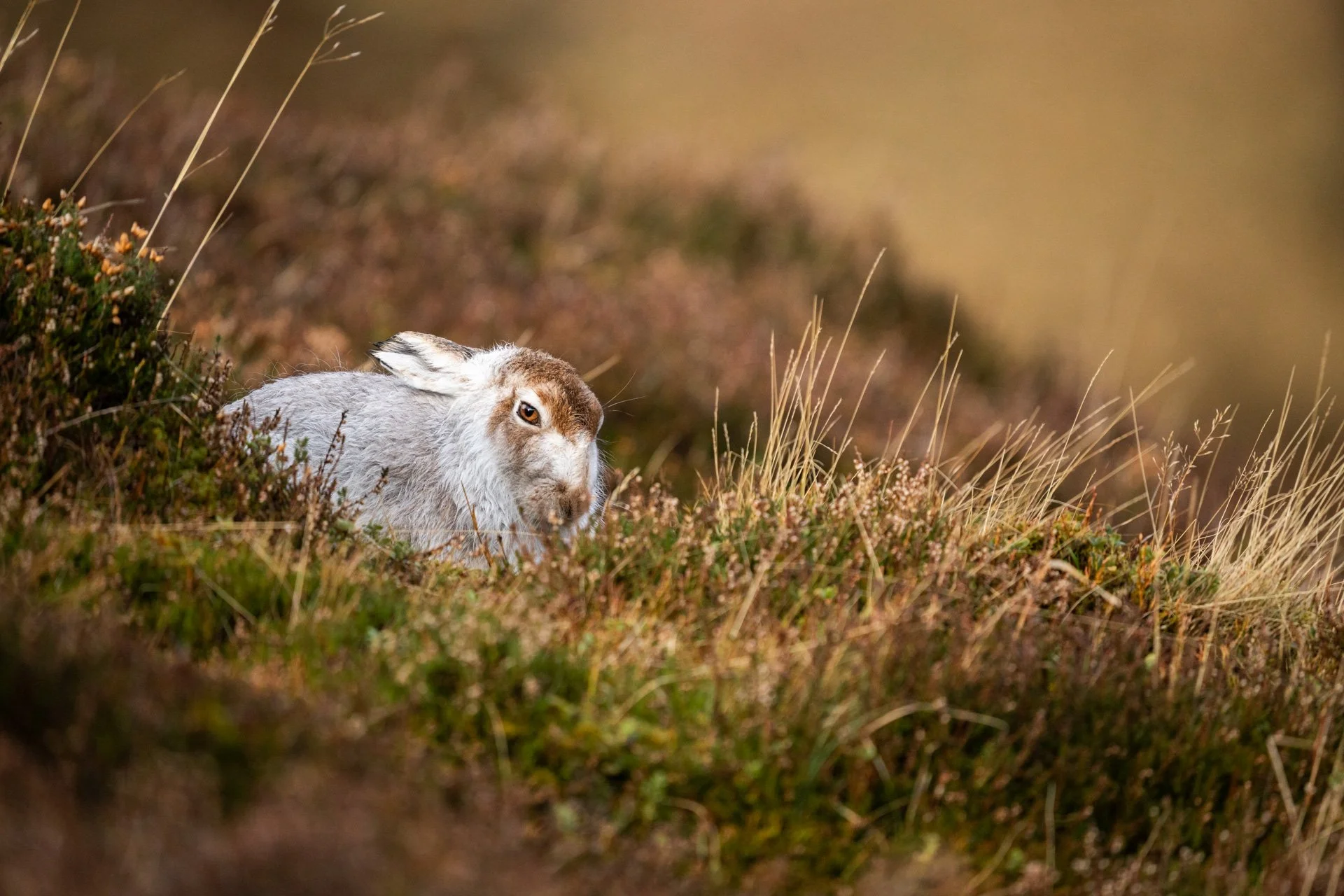 Winter Tour Day 2 _12.jpg