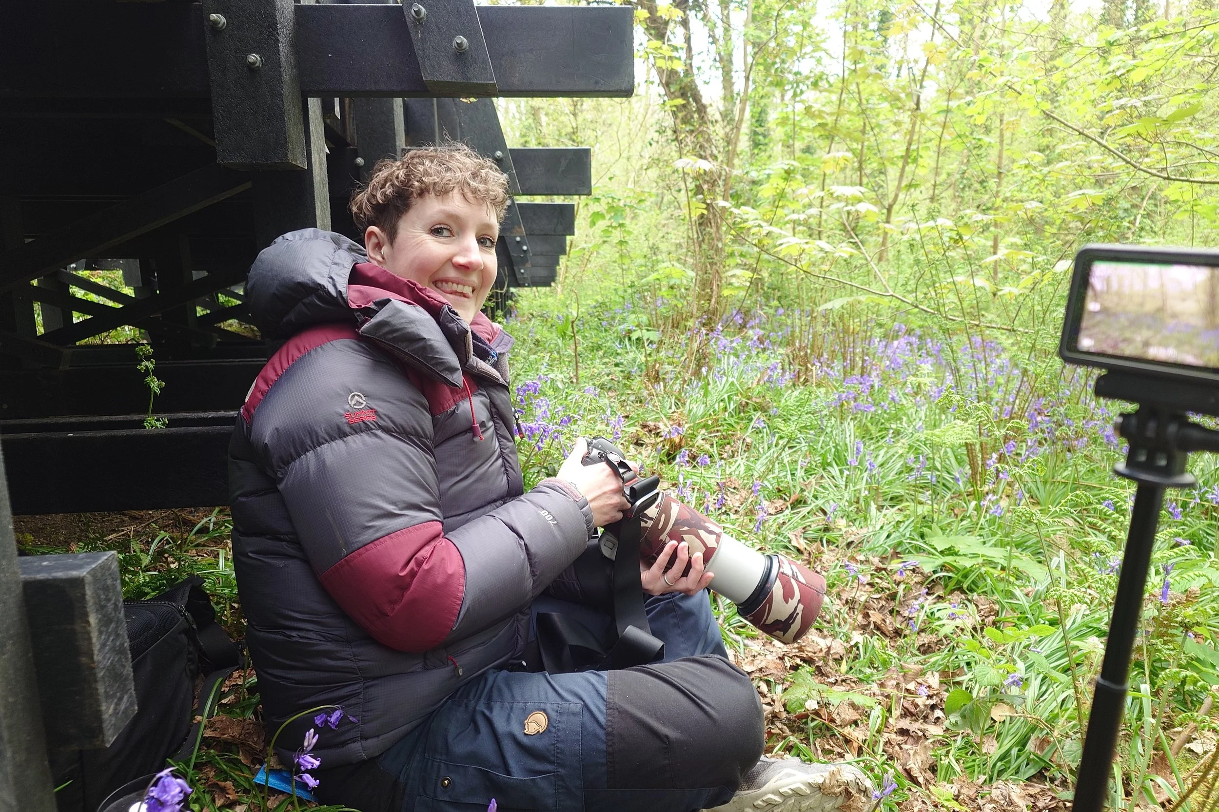 Bluebell Squirrels _35.JPG
