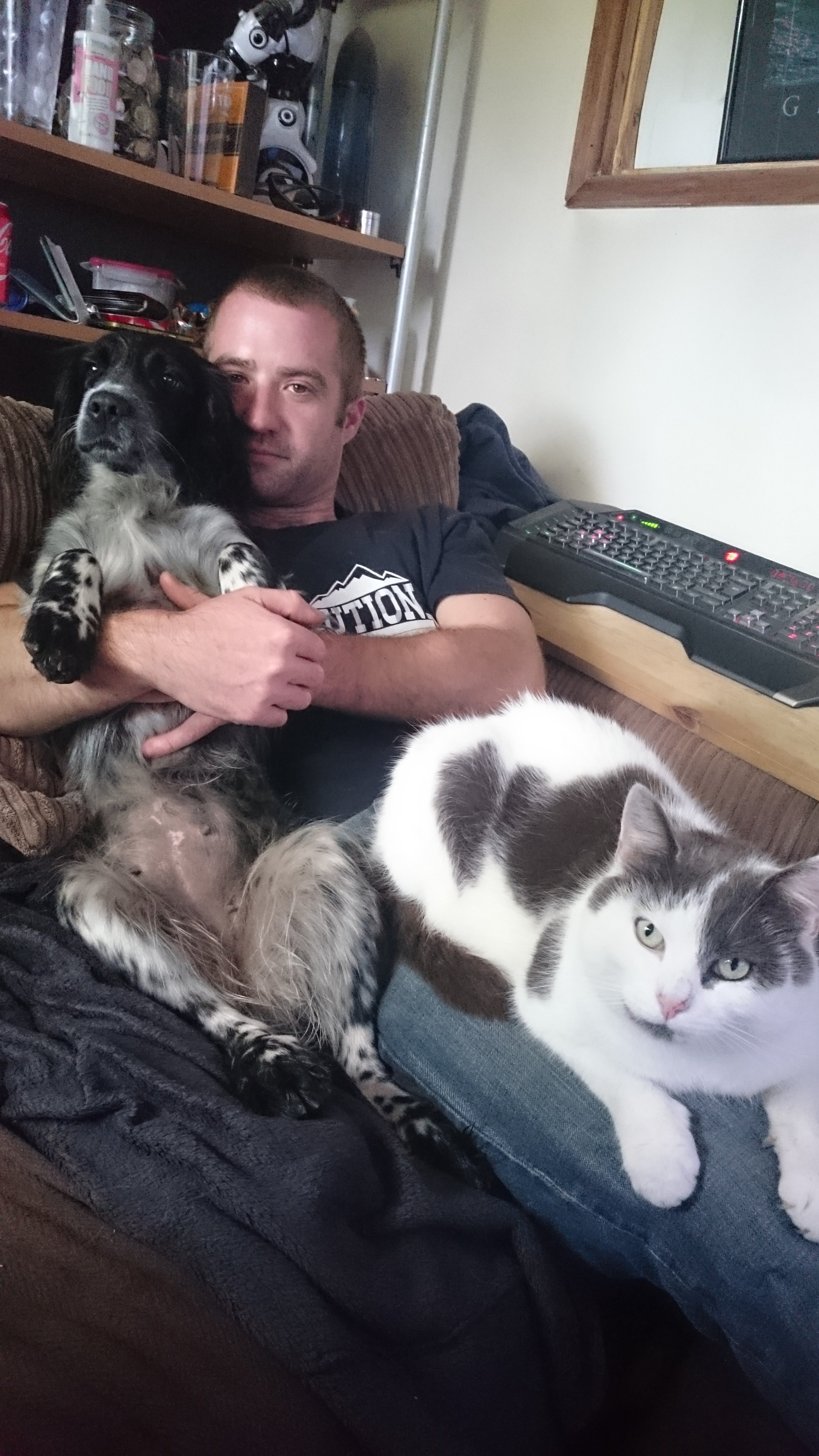  When all the animals want to sit with you … 