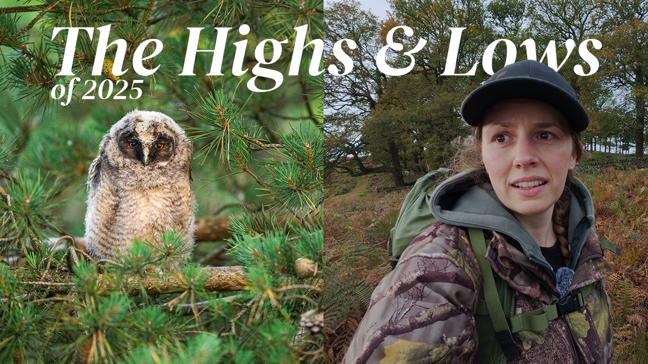 It’s Almost May 2026… What 2025 Taught Me