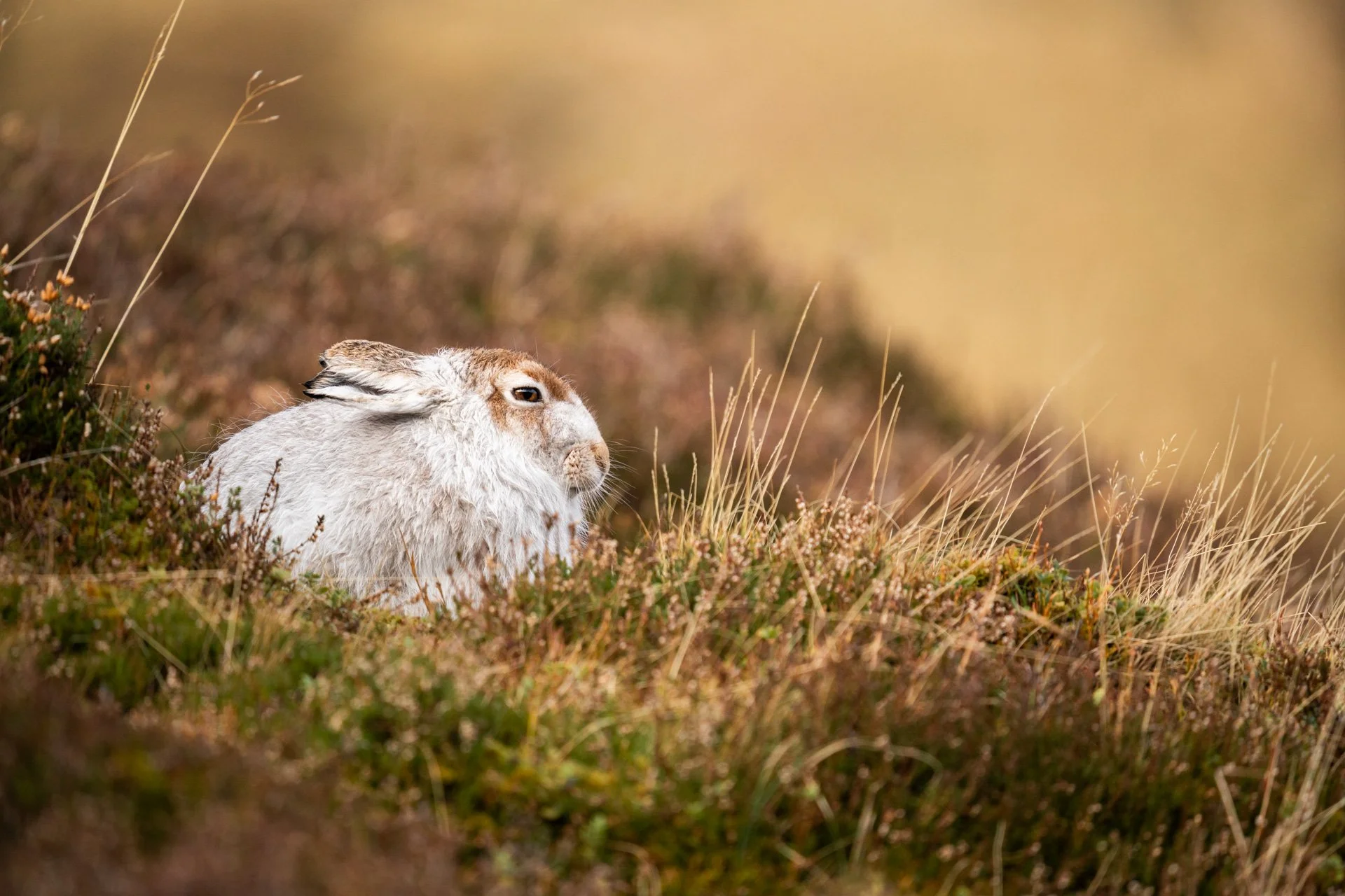 Winter Tour Day 2 _16.jpg