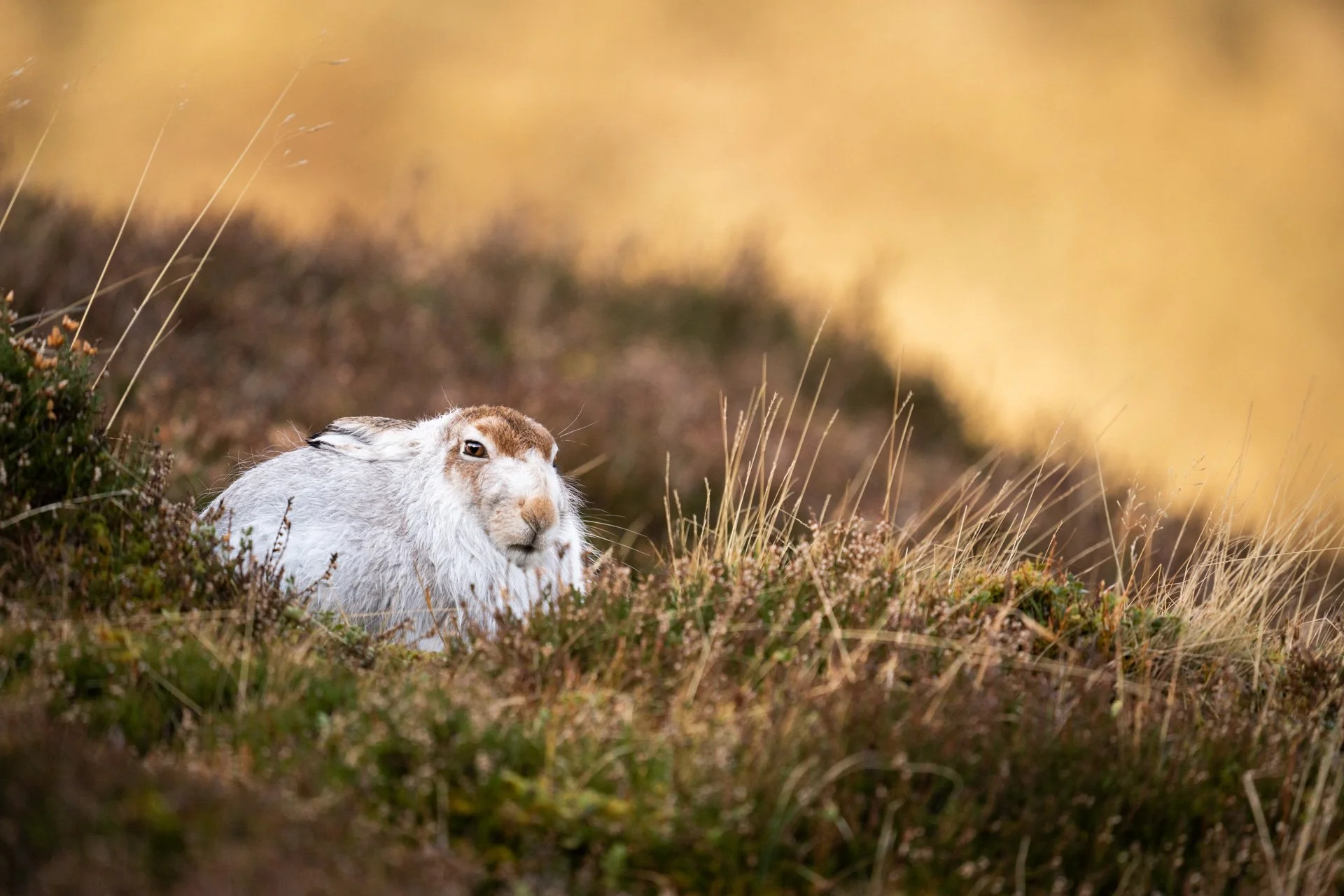 Winter Tour Day 2 _19.jpg