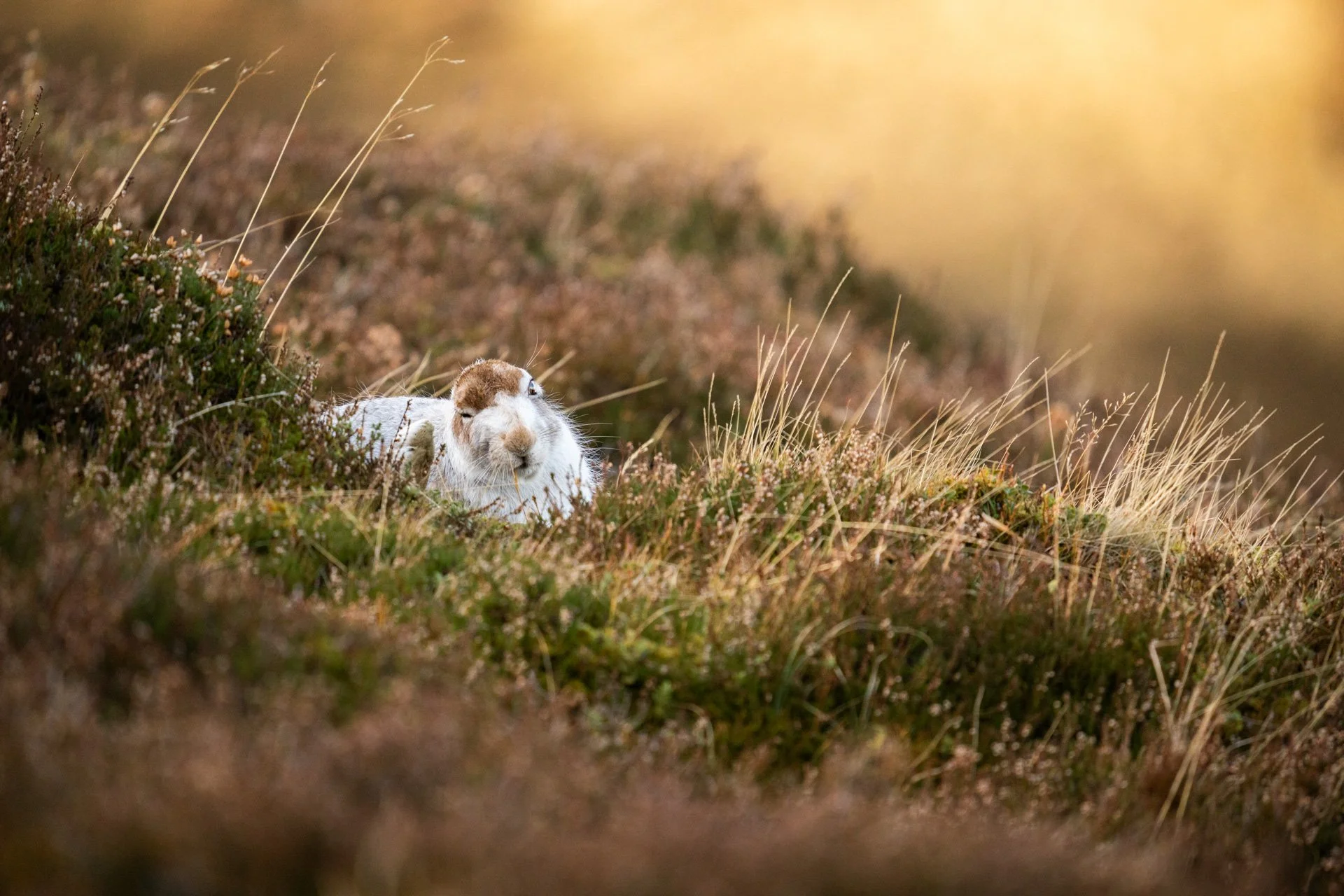 Winter Tour Day 2 _22.jpg