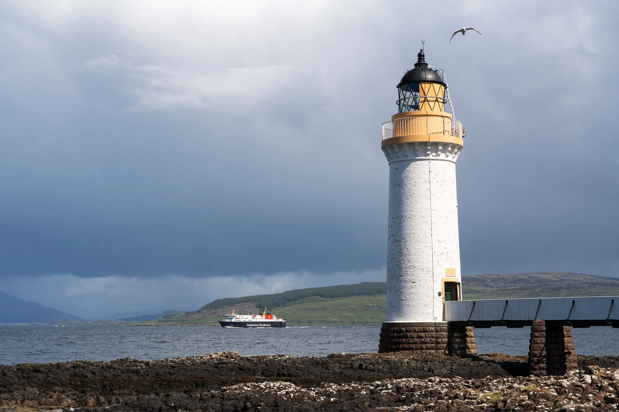 Look back 2025 _06.jpg