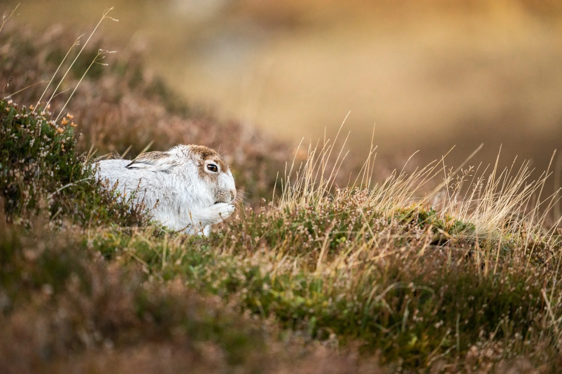 Winter Tour Day 2 _34.jpg