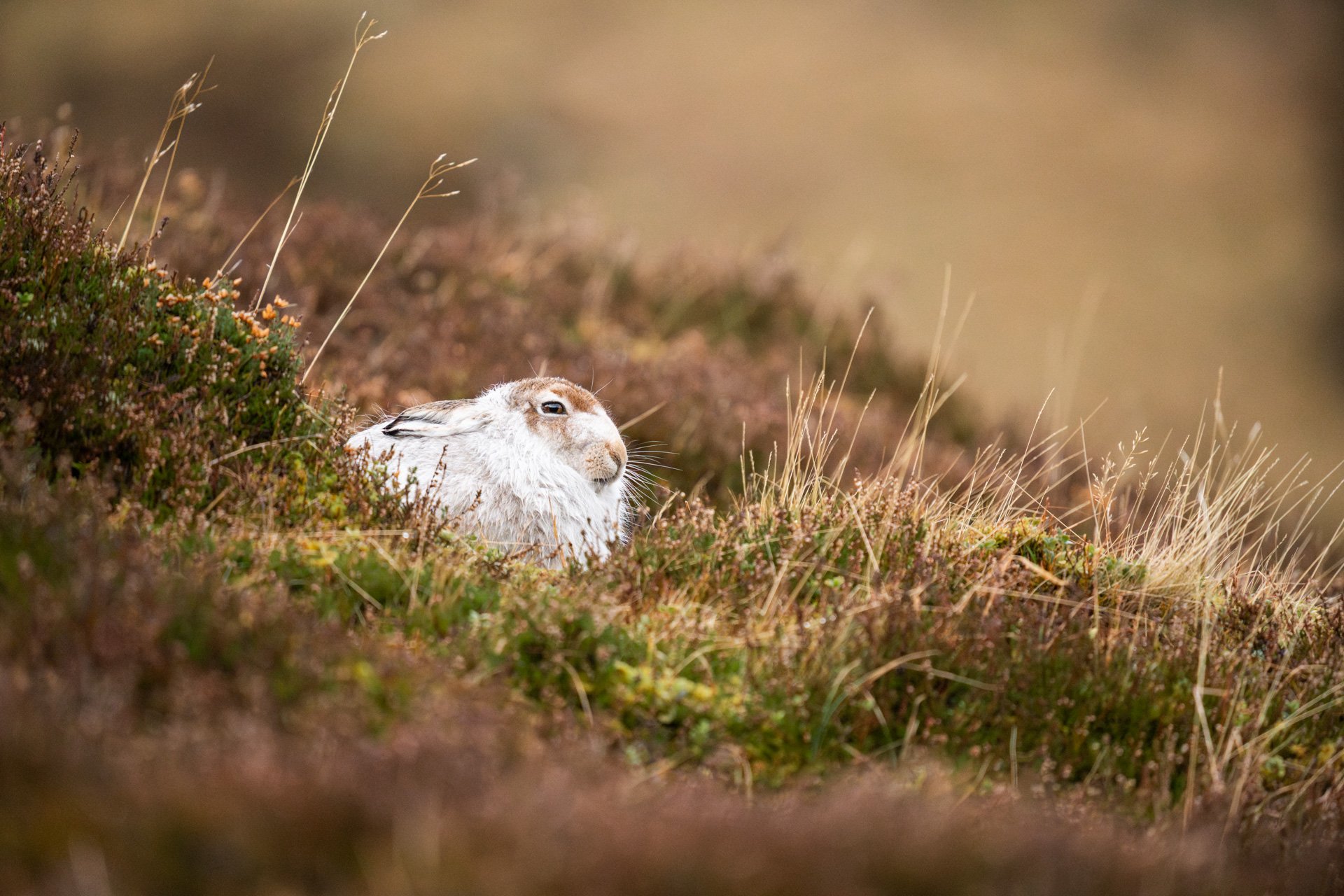 Winter Tour Day 2 _06.jpg