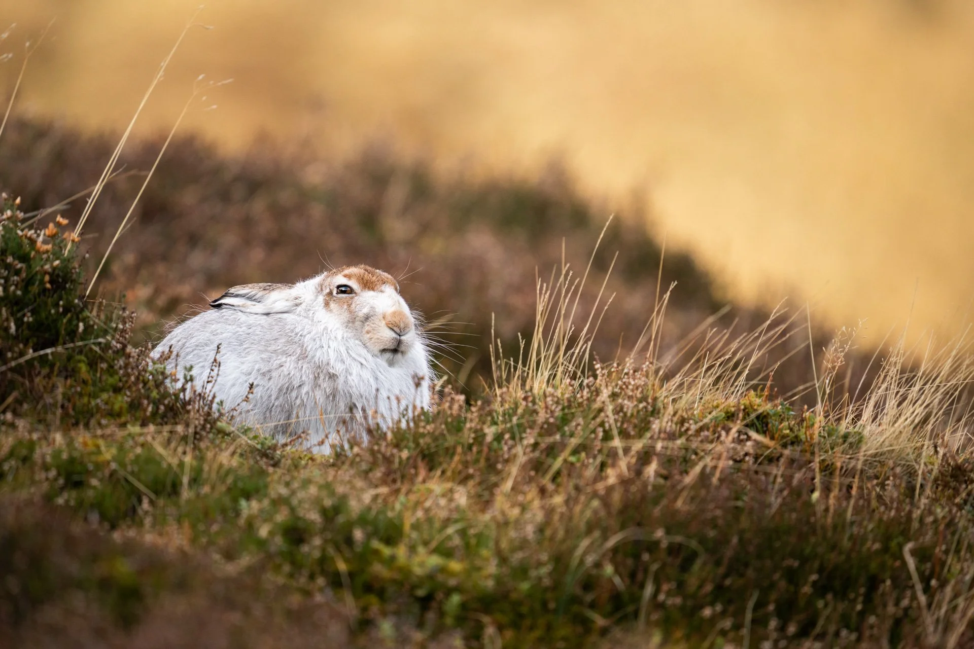 Winter Tour Day 2 _18.jpg