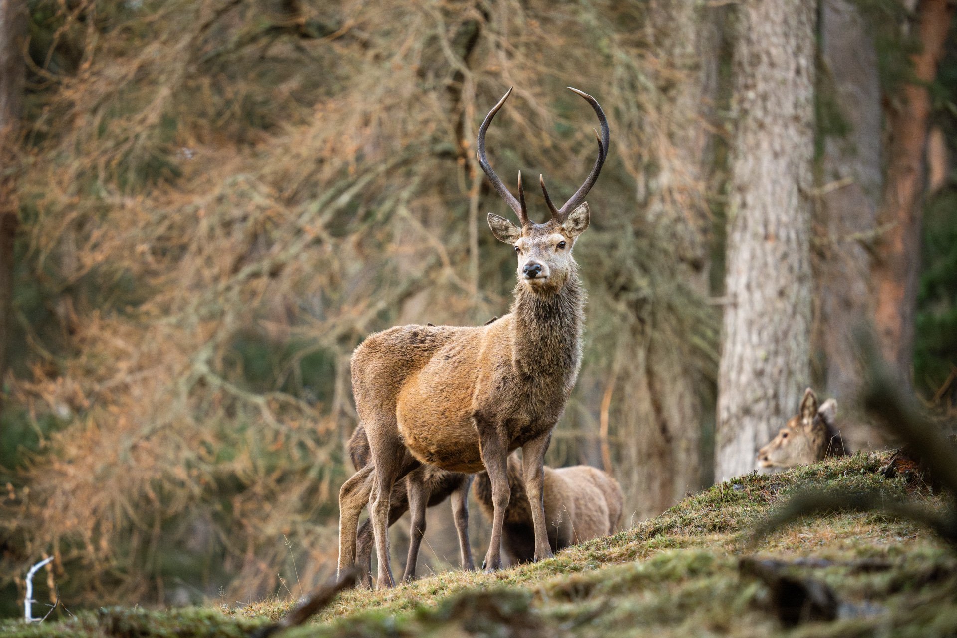 Wildlife Tour Day 3 _10.jpg