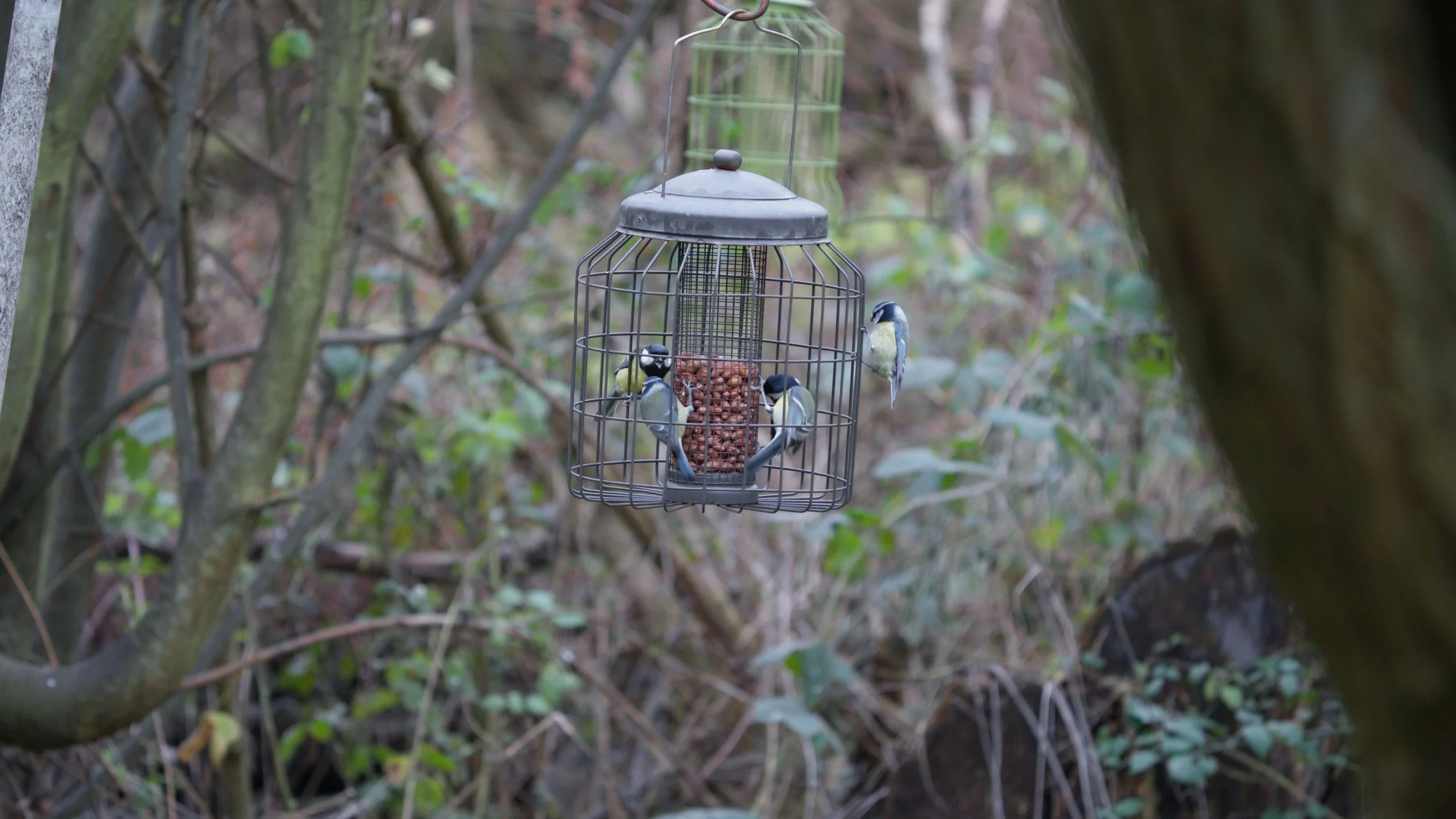 Venus pools_2.12.1.jpg