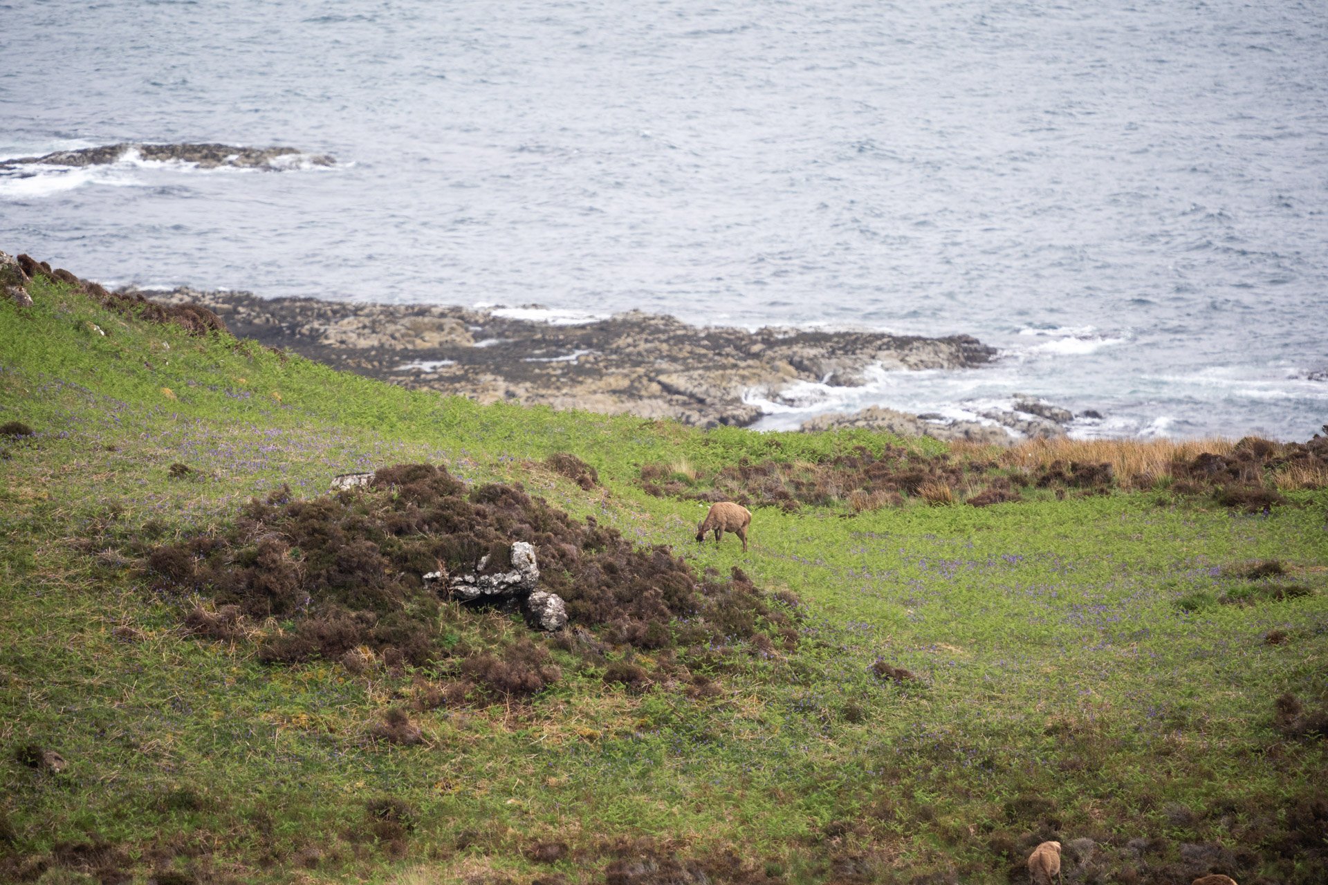 Ulva Photo Walk_13.jpg
