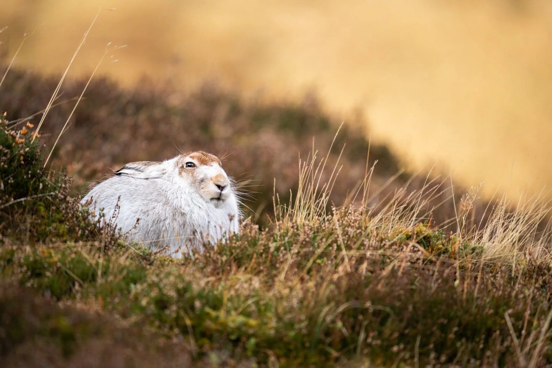 Winter Tour Day 2 _17.jpg