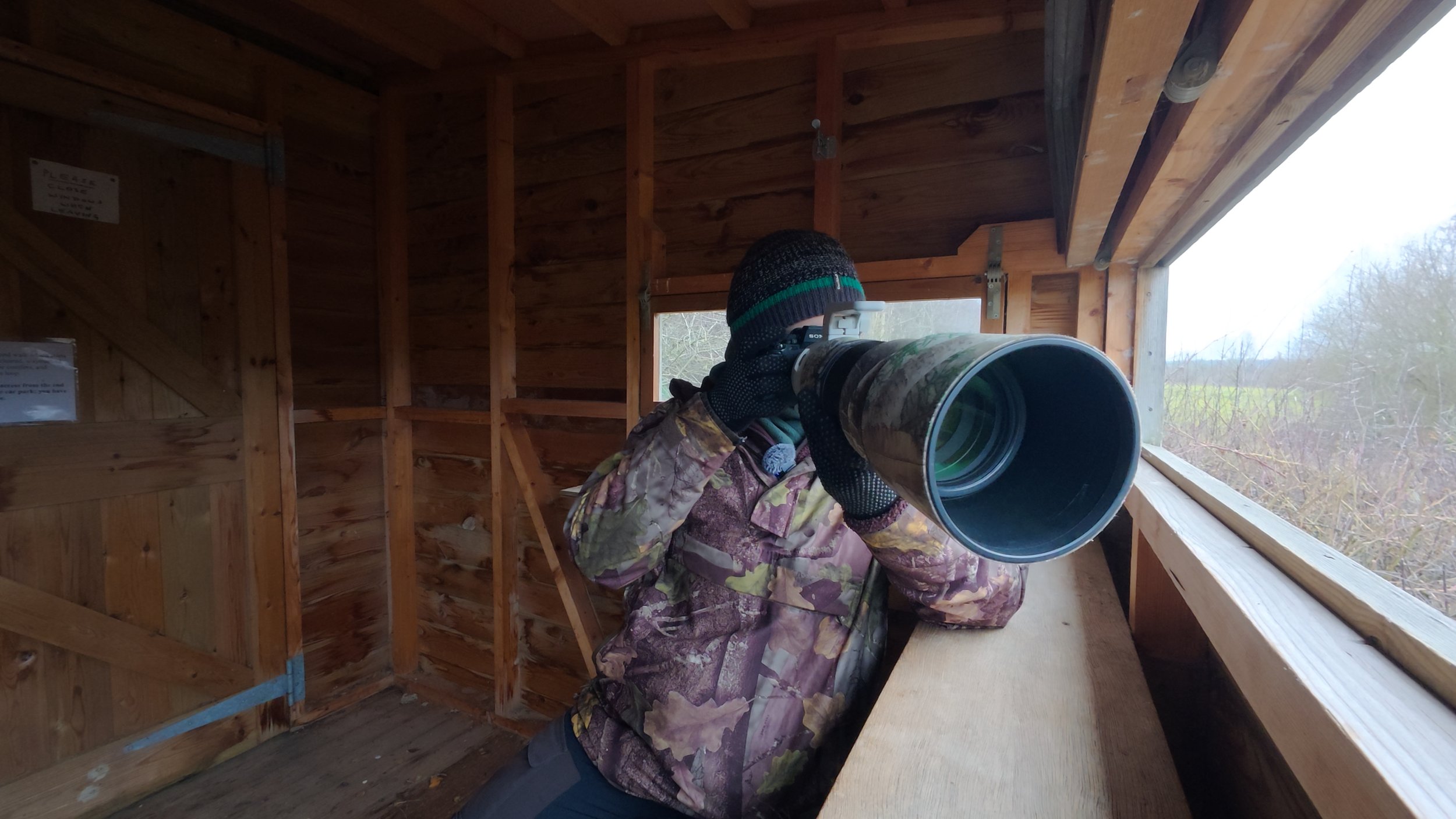 Venus Pools_1.58.1.jpg