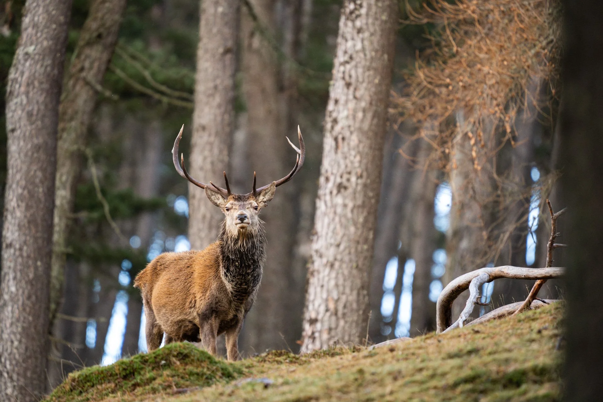 Wildlife Tour Day 3 _09.jpg