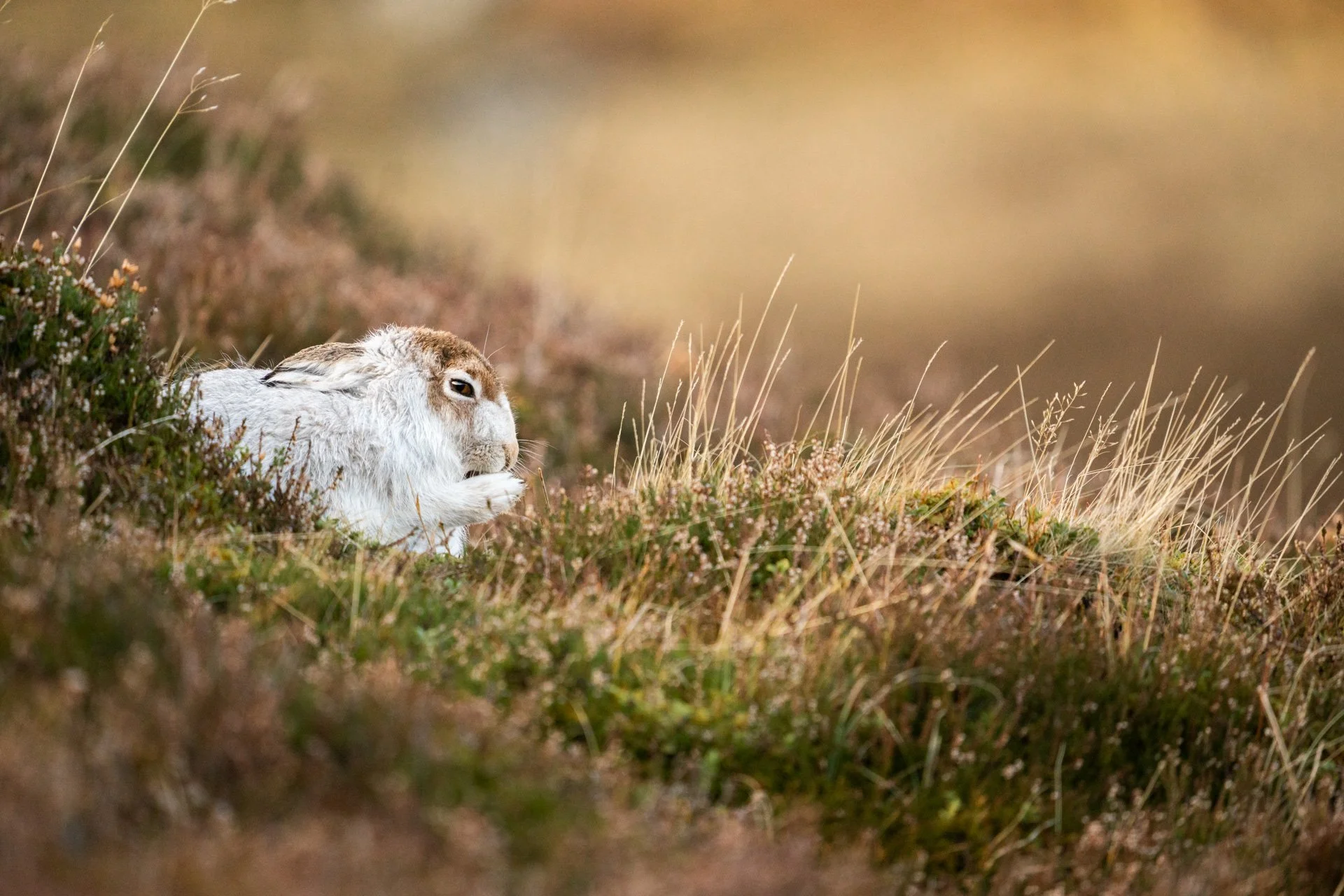 Winter Tour Day 2 _32.jpg