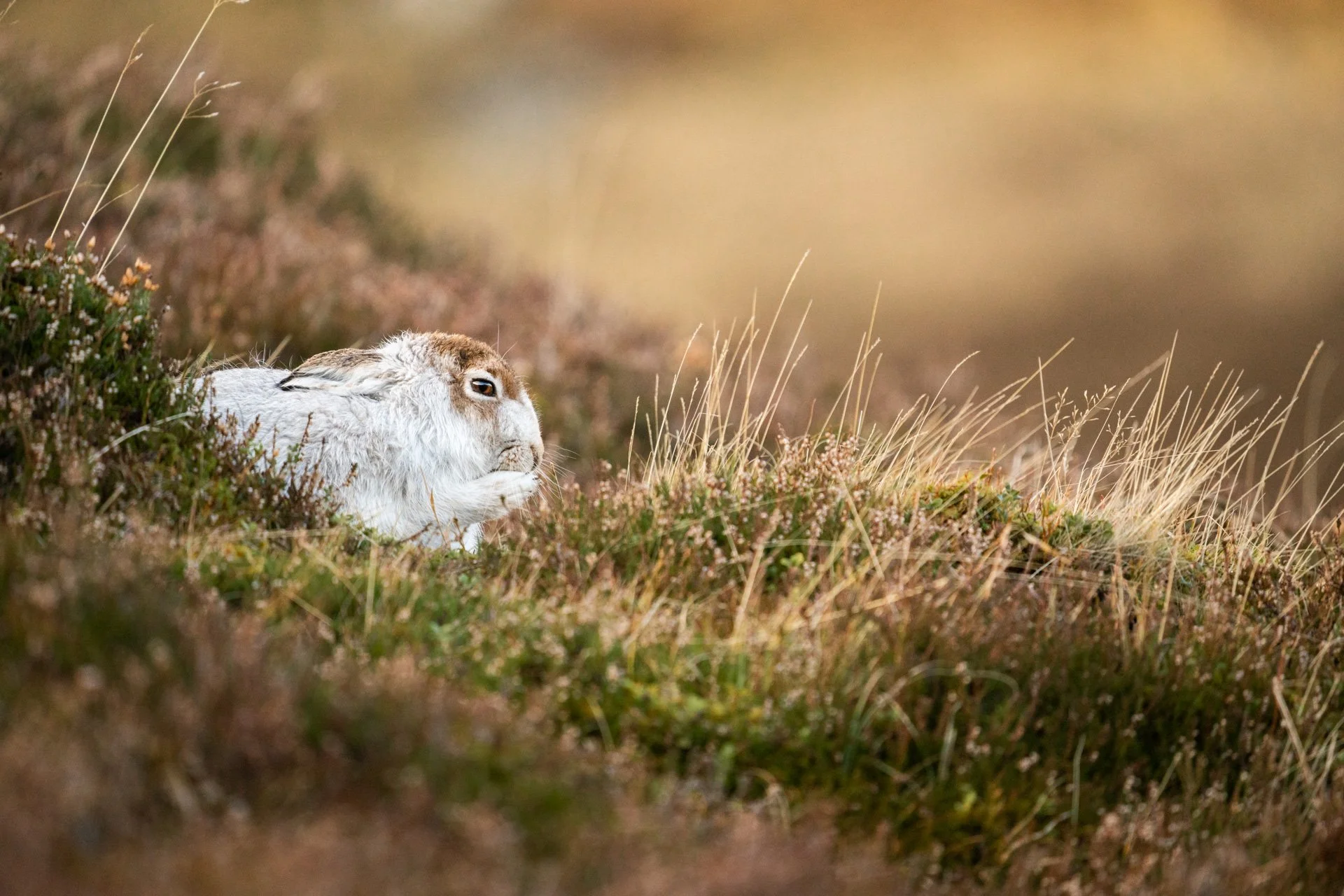 Winter Tour Day 2 _33.jpg